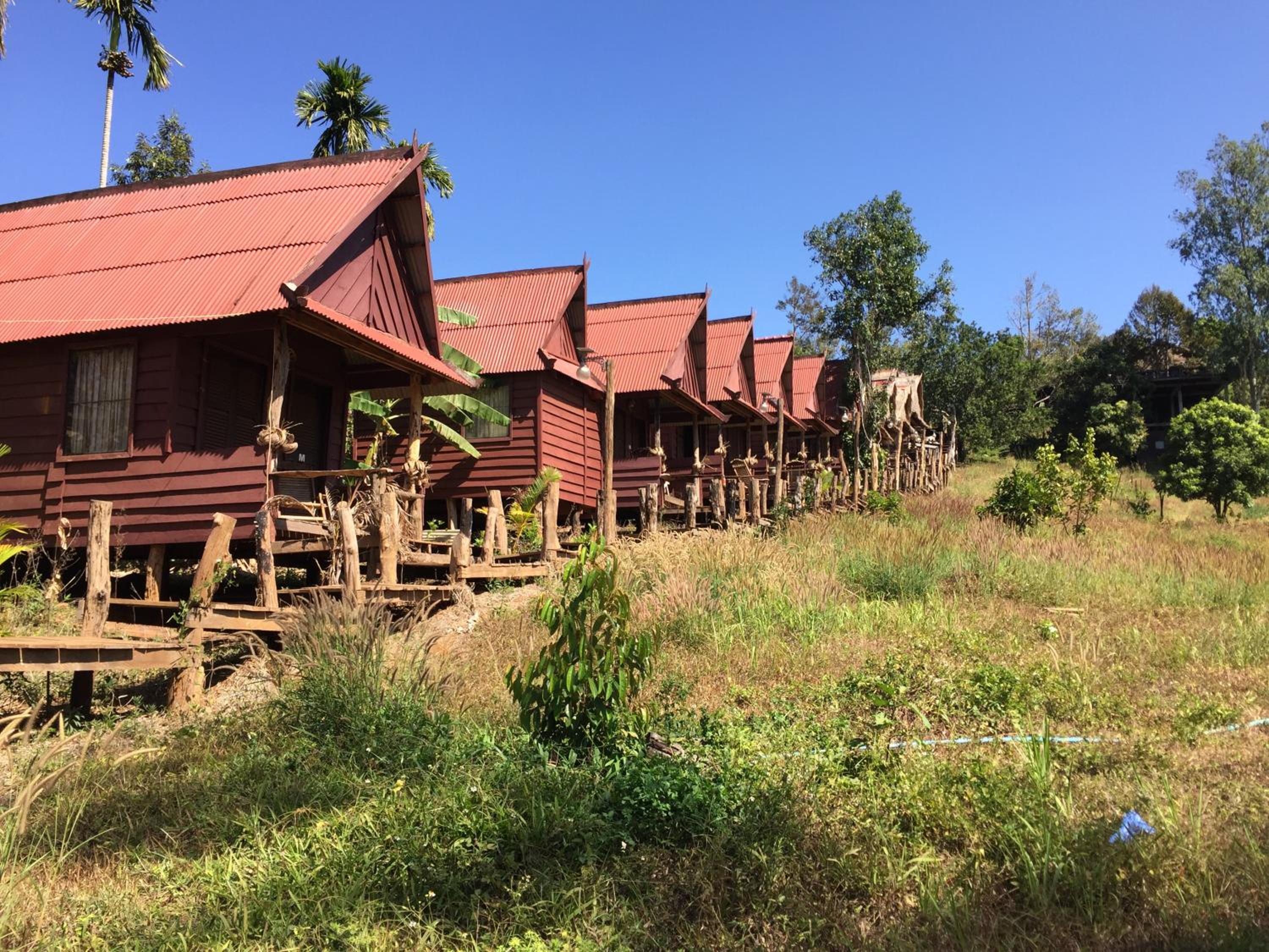 Tree Lodge view 2