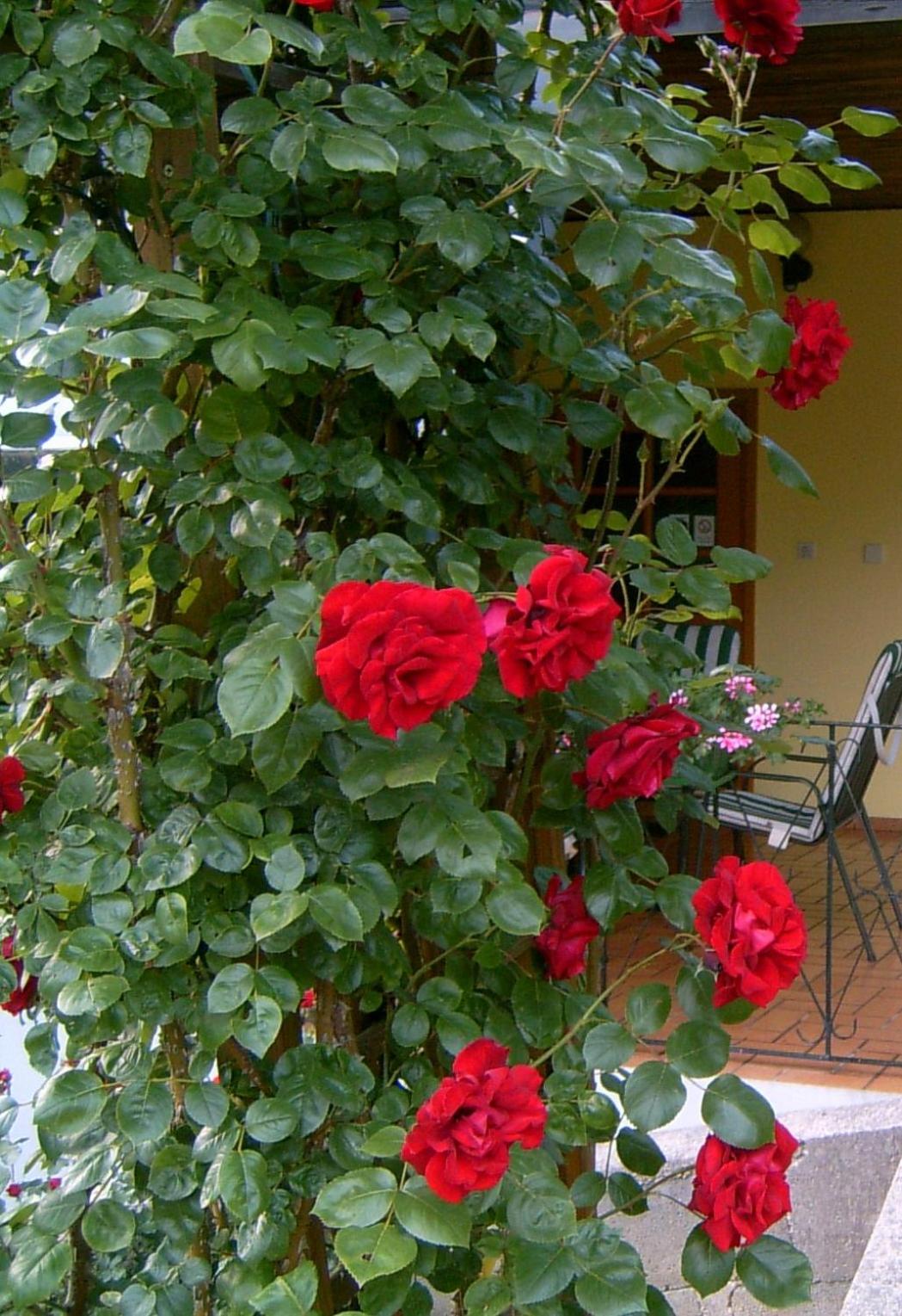 Ferienhaus Lanzl