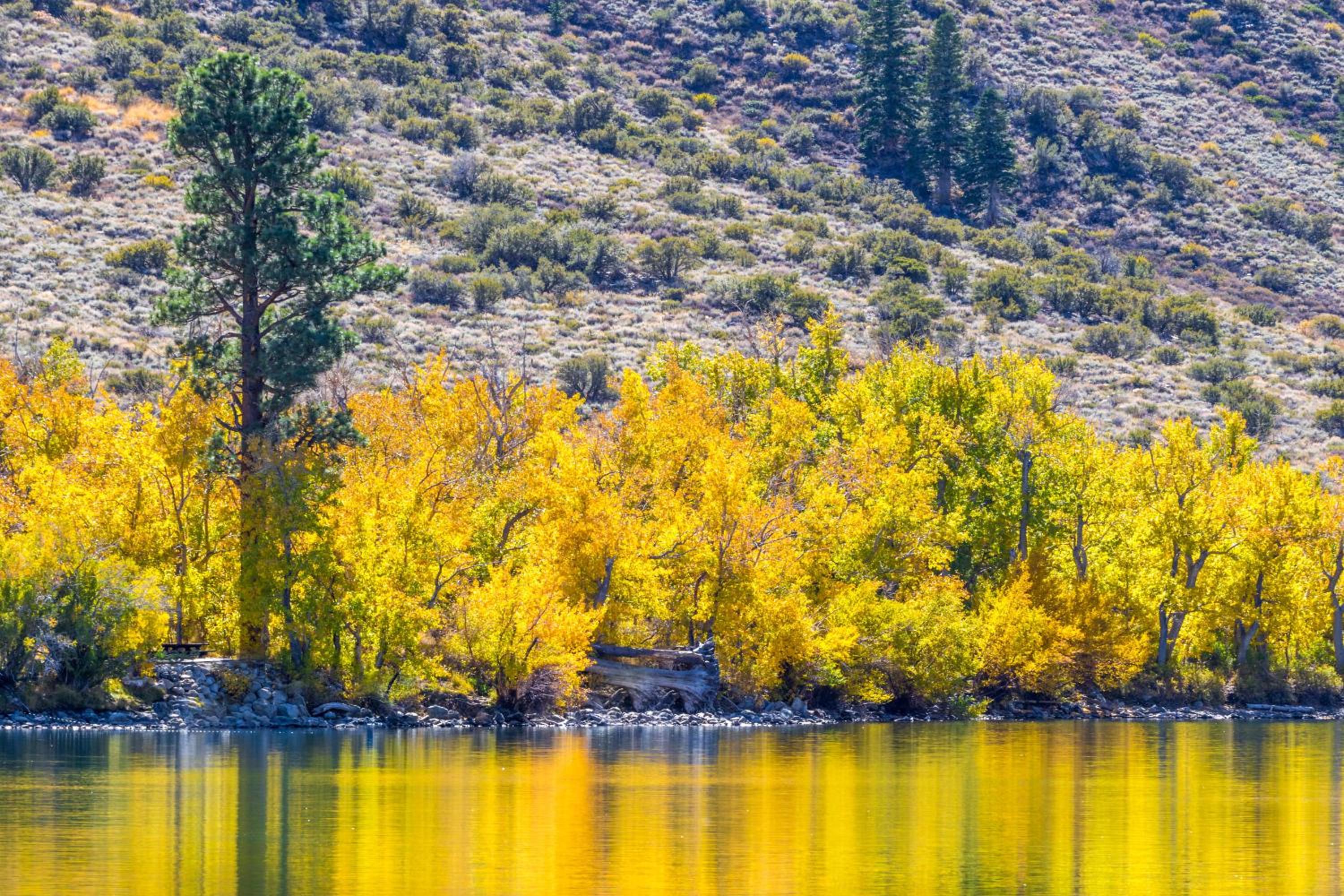 June Lake Motel