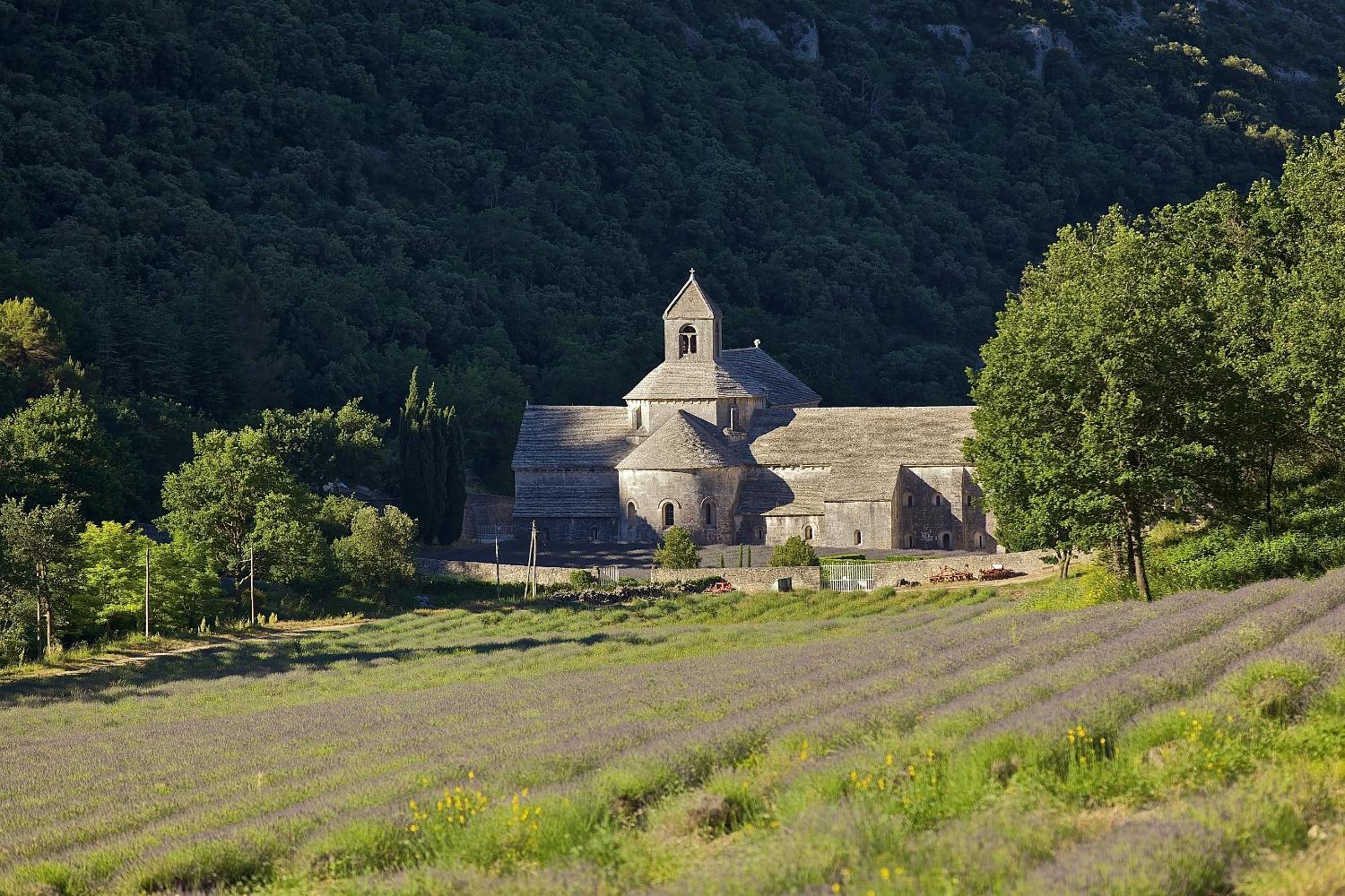 Photo 49