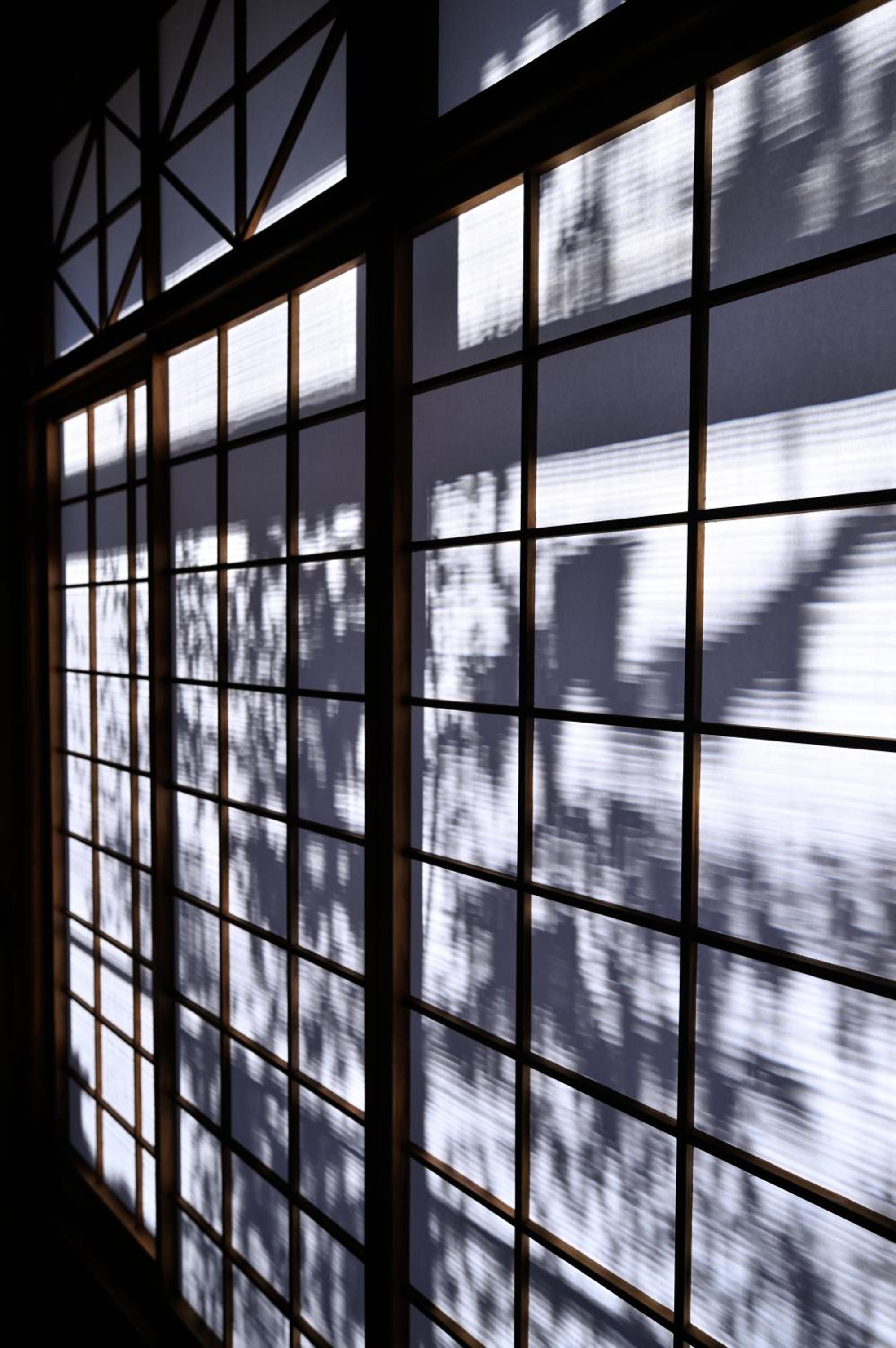 Nishijin Fujita