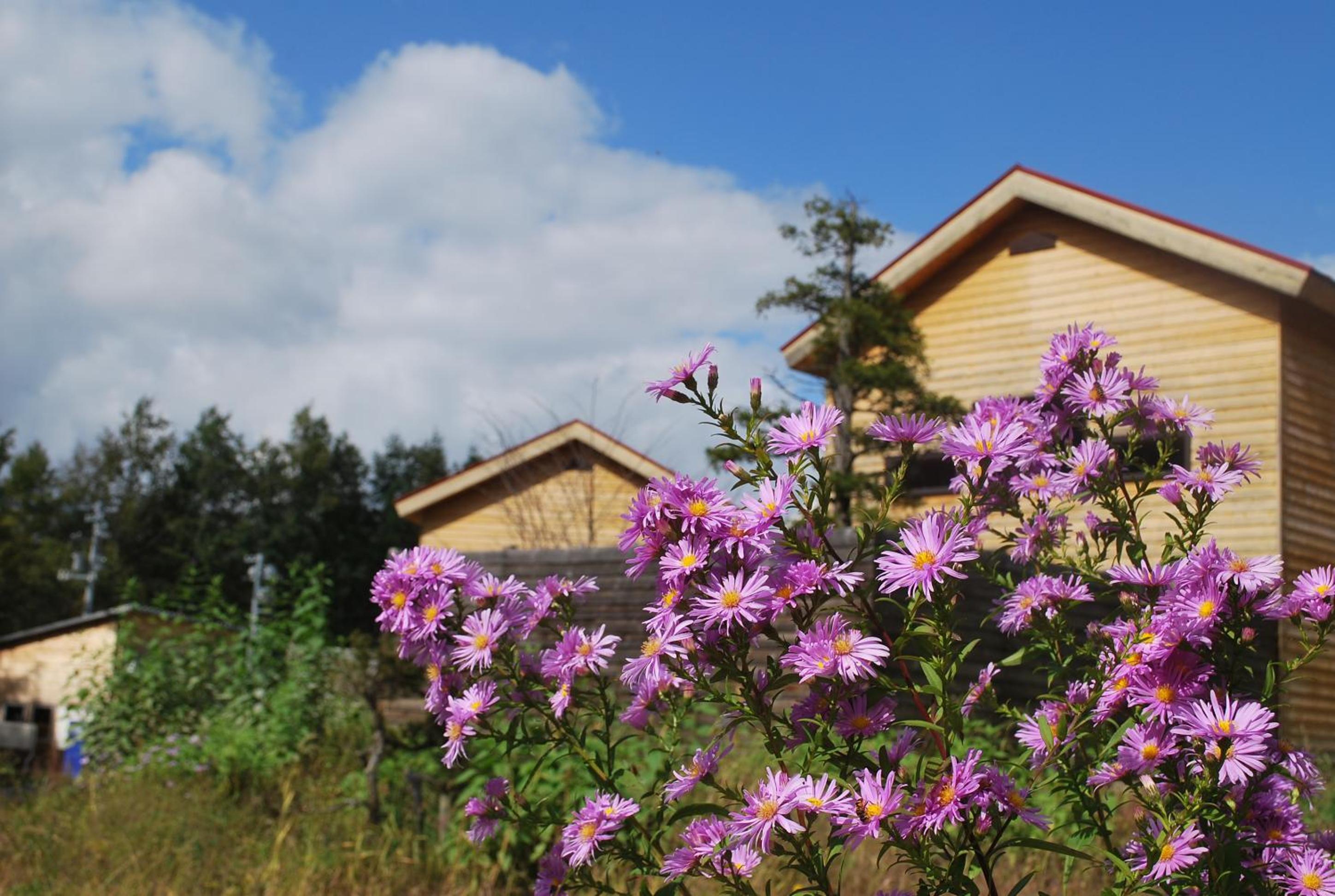 Auberge Ninguruforet