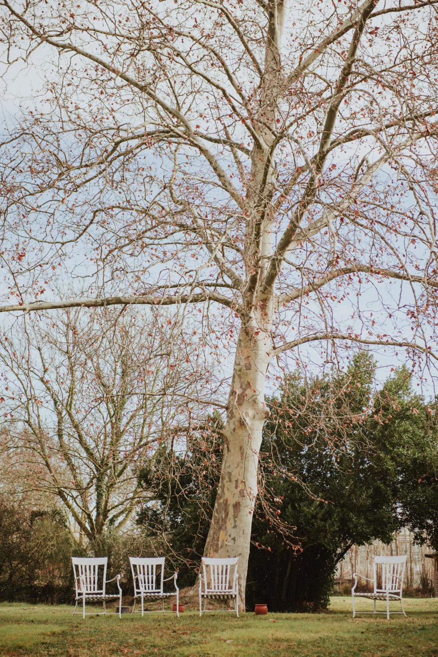 Photo 39