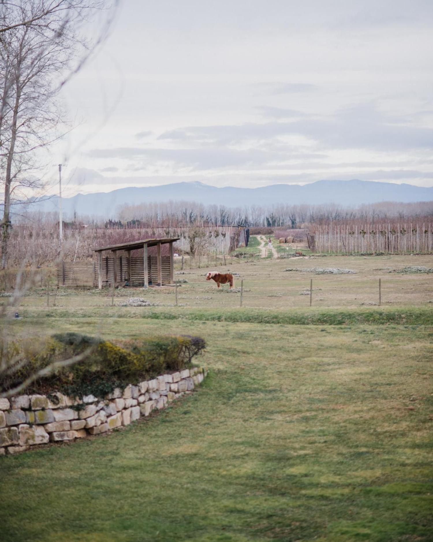 Photo 45