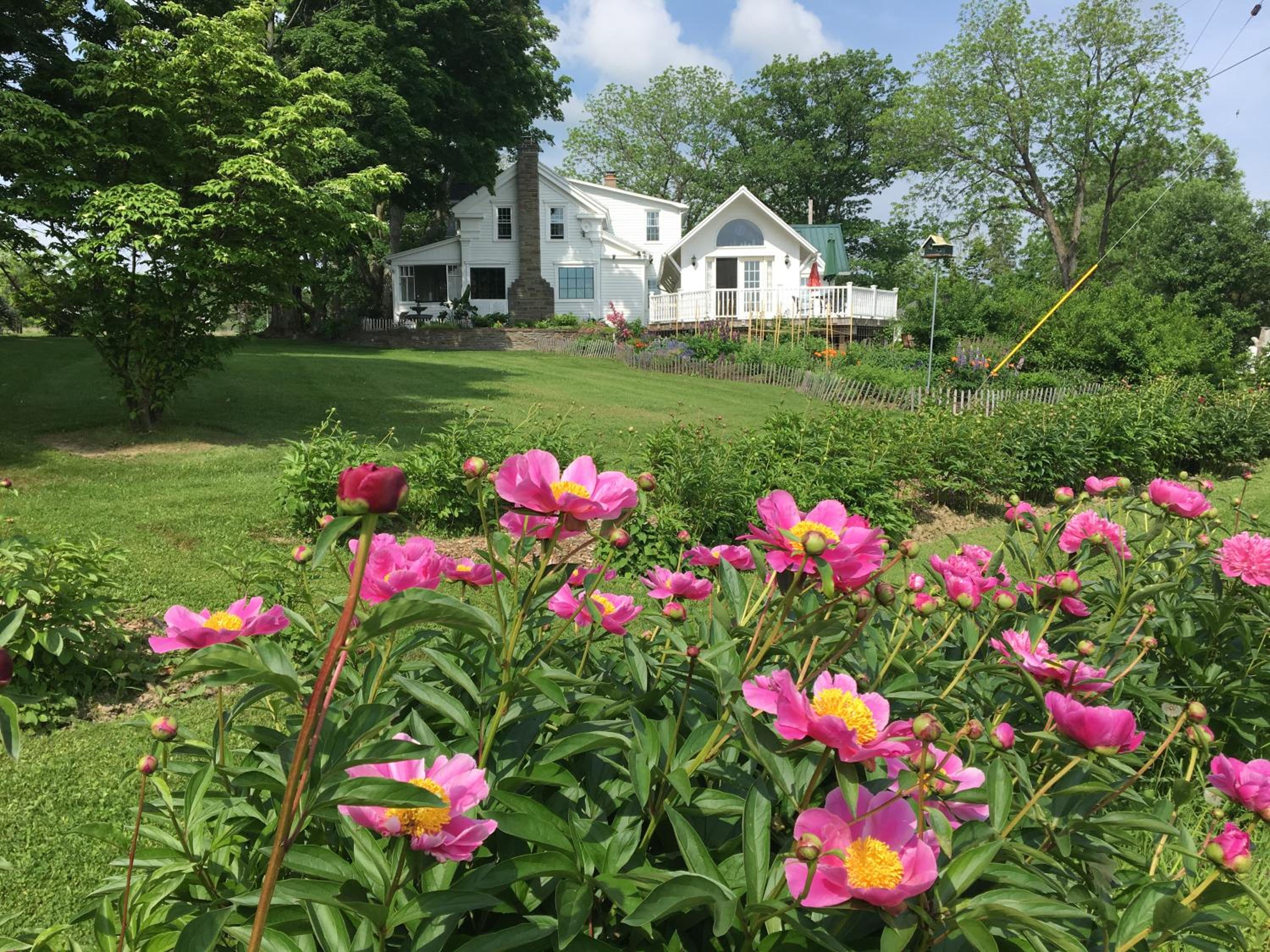 Enfield Manor Bed&Breakfast and Vacation Rental view 3