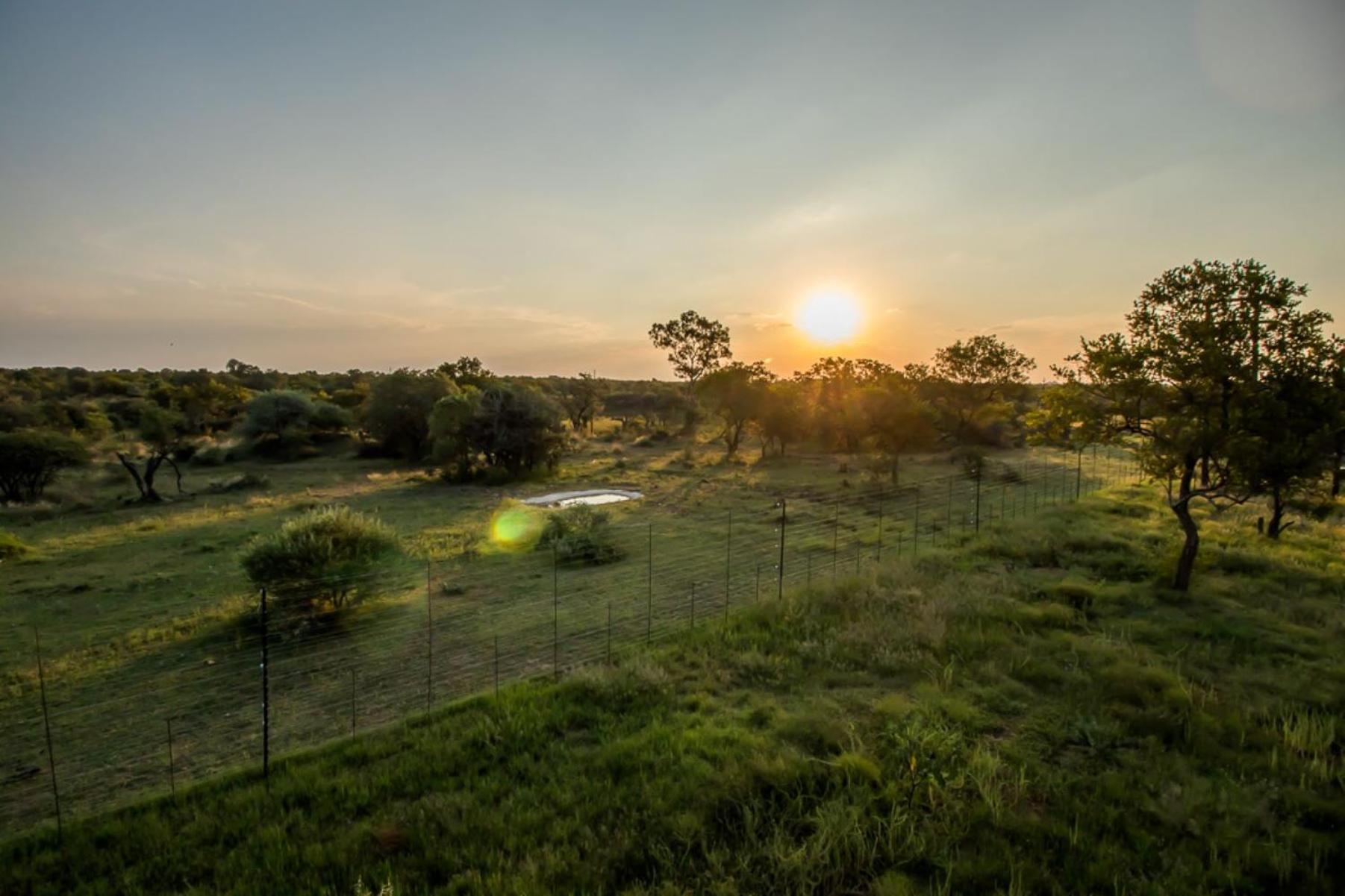LookOut Safari Lodge, photo 13