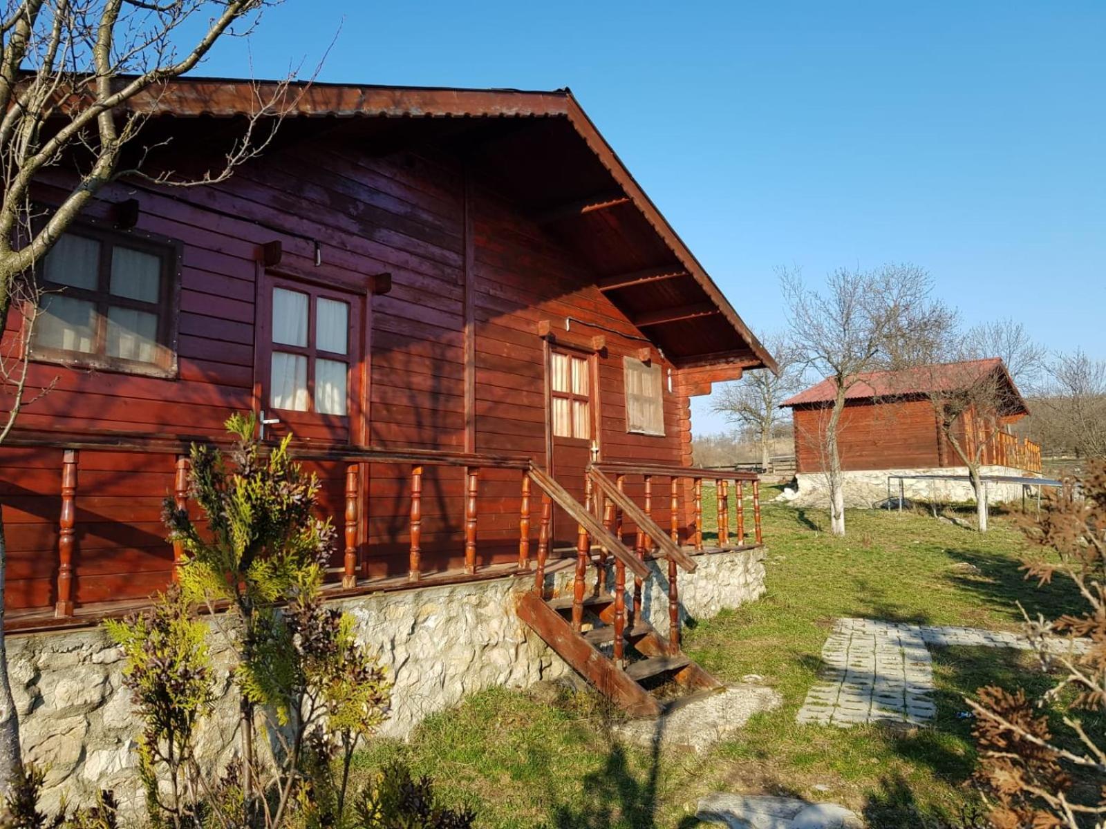Pensiunea Gernik 100 view 2