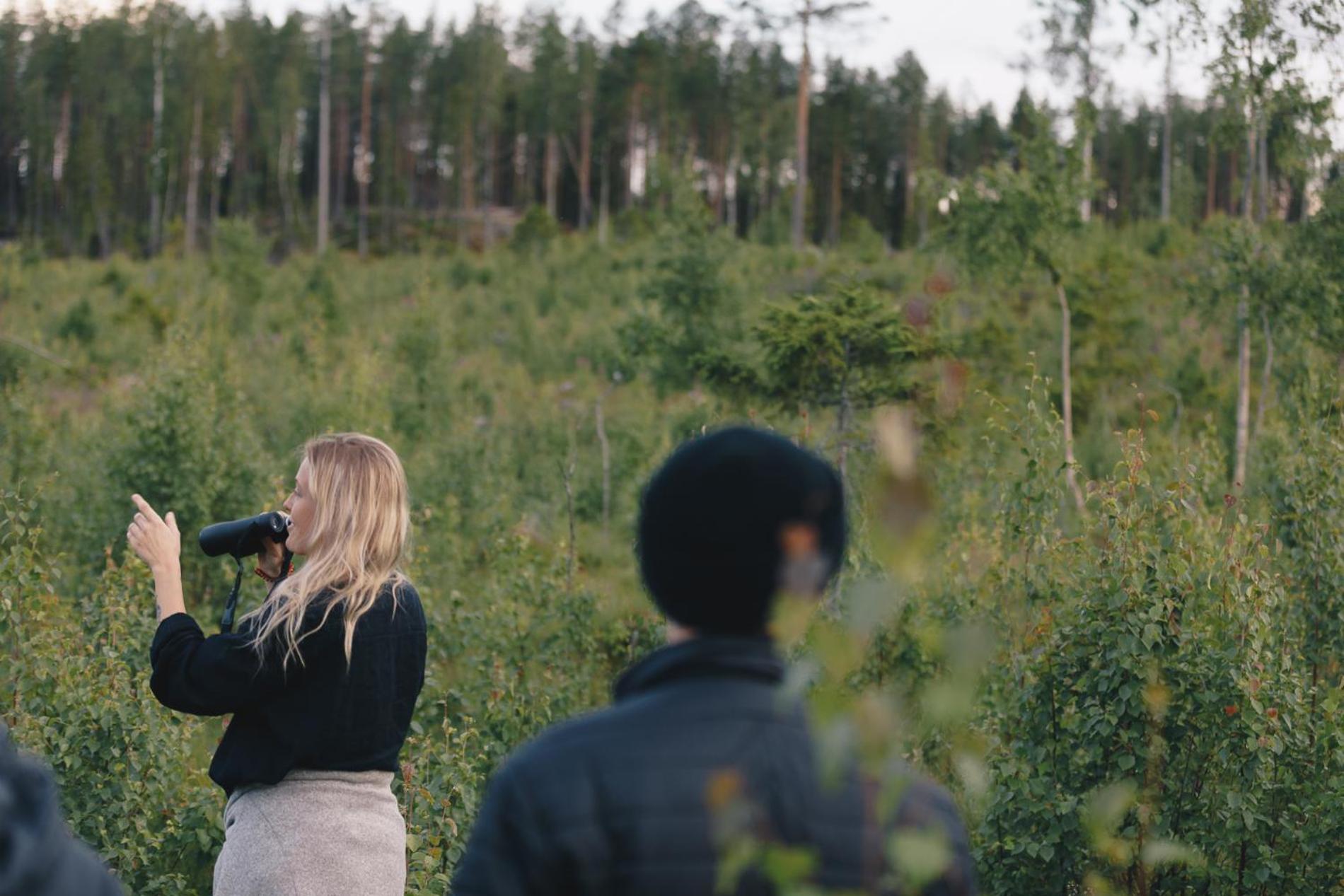 Granö Beckasin