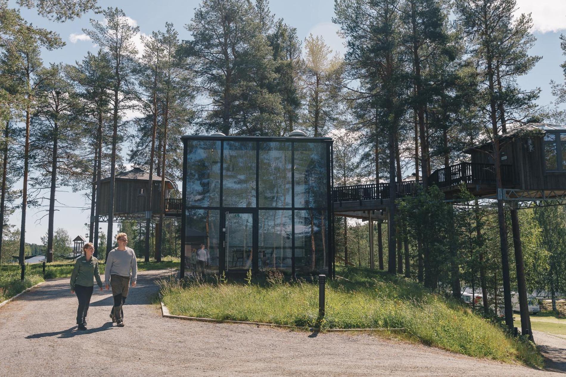 Granö Beckasin