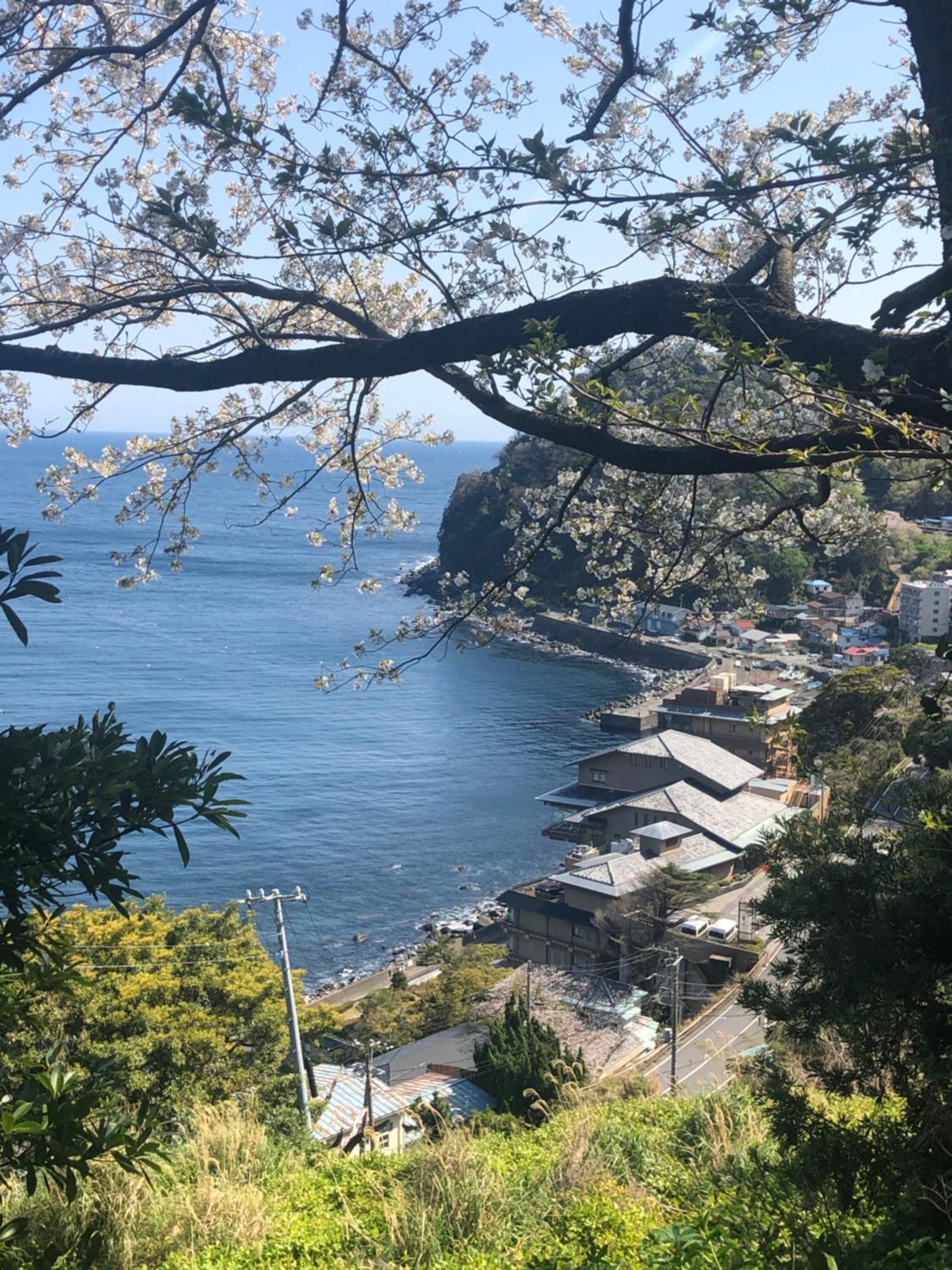 Izu Hokkawa Seaside Guesthouse 伊豆北川の家 view 4