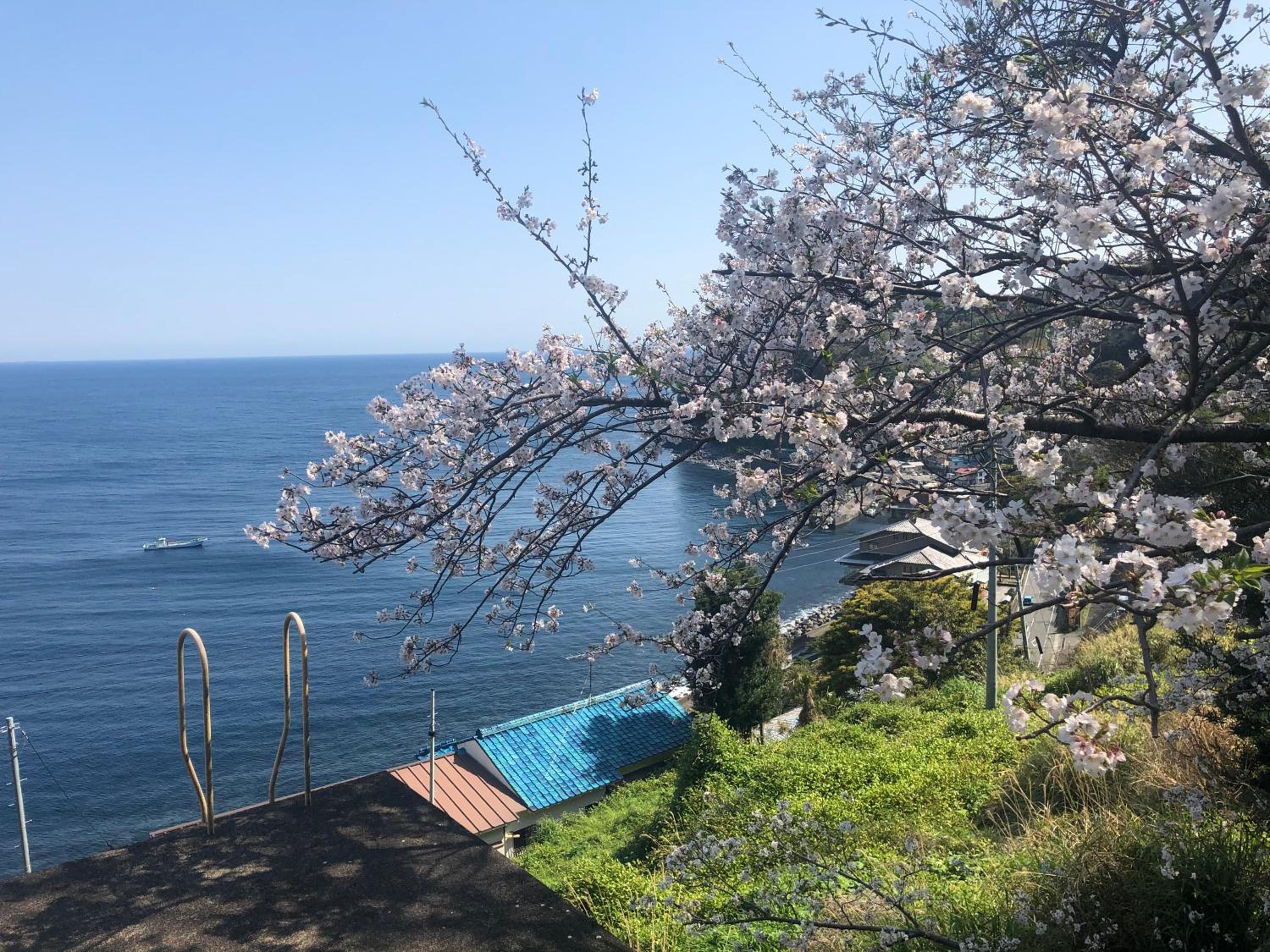 Izu Hokkawa Seaside Guesthouse 伊豆北川の家 view 3