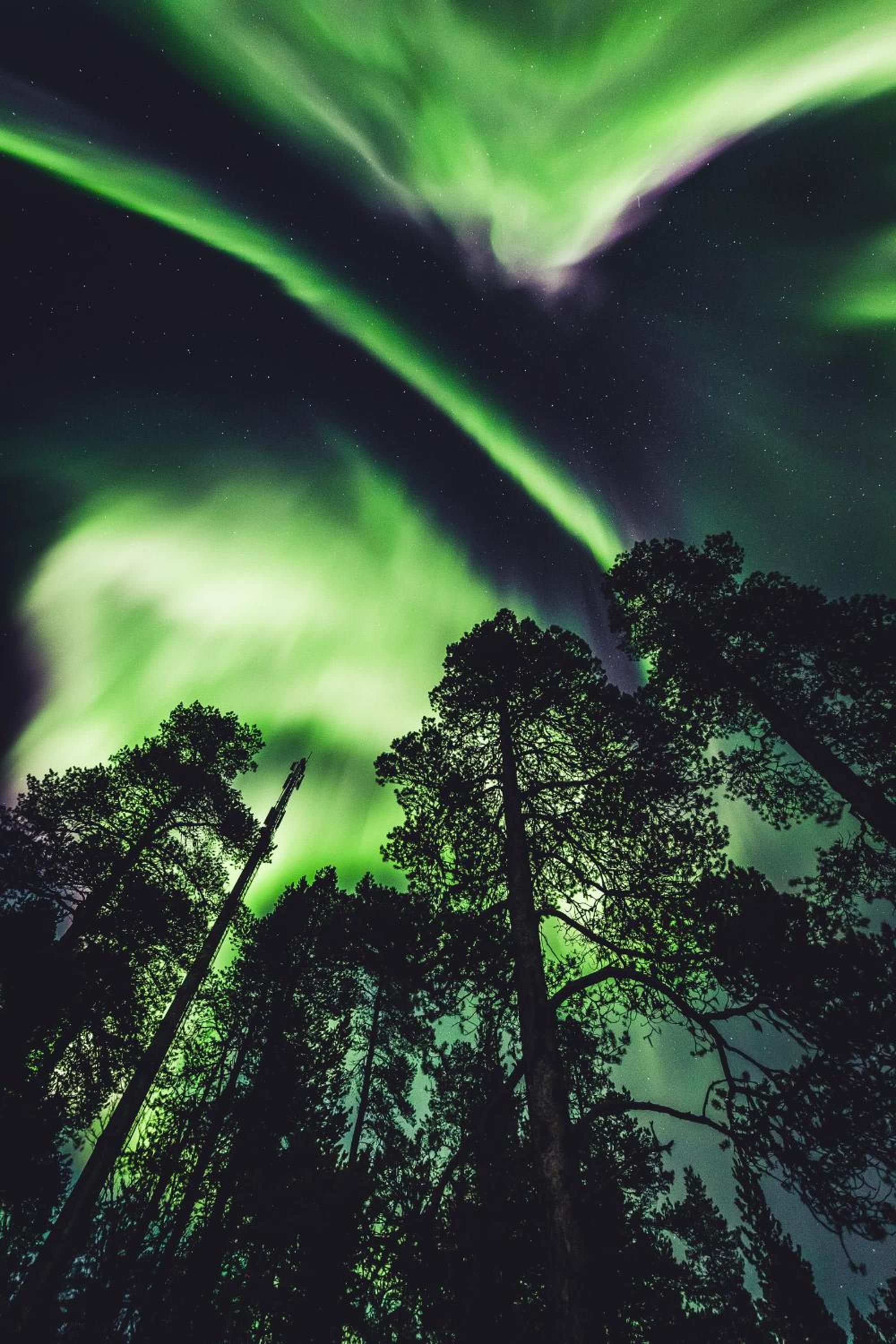 Aurora Village Ivalo