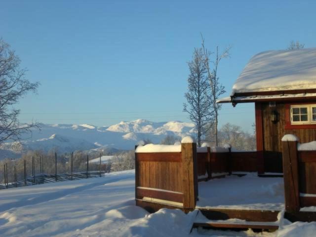 Photo 42
