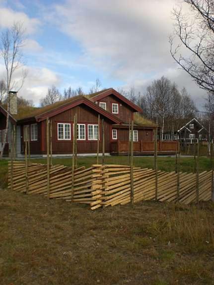 Photo 24