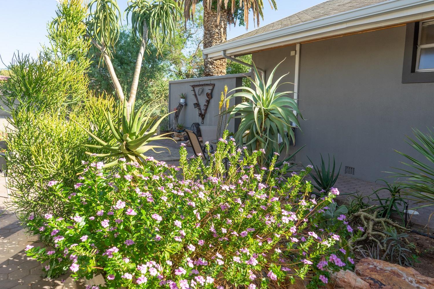 Aloe Manor