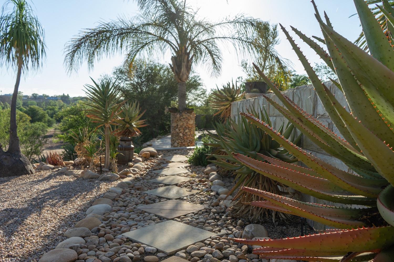 Aloe Manor