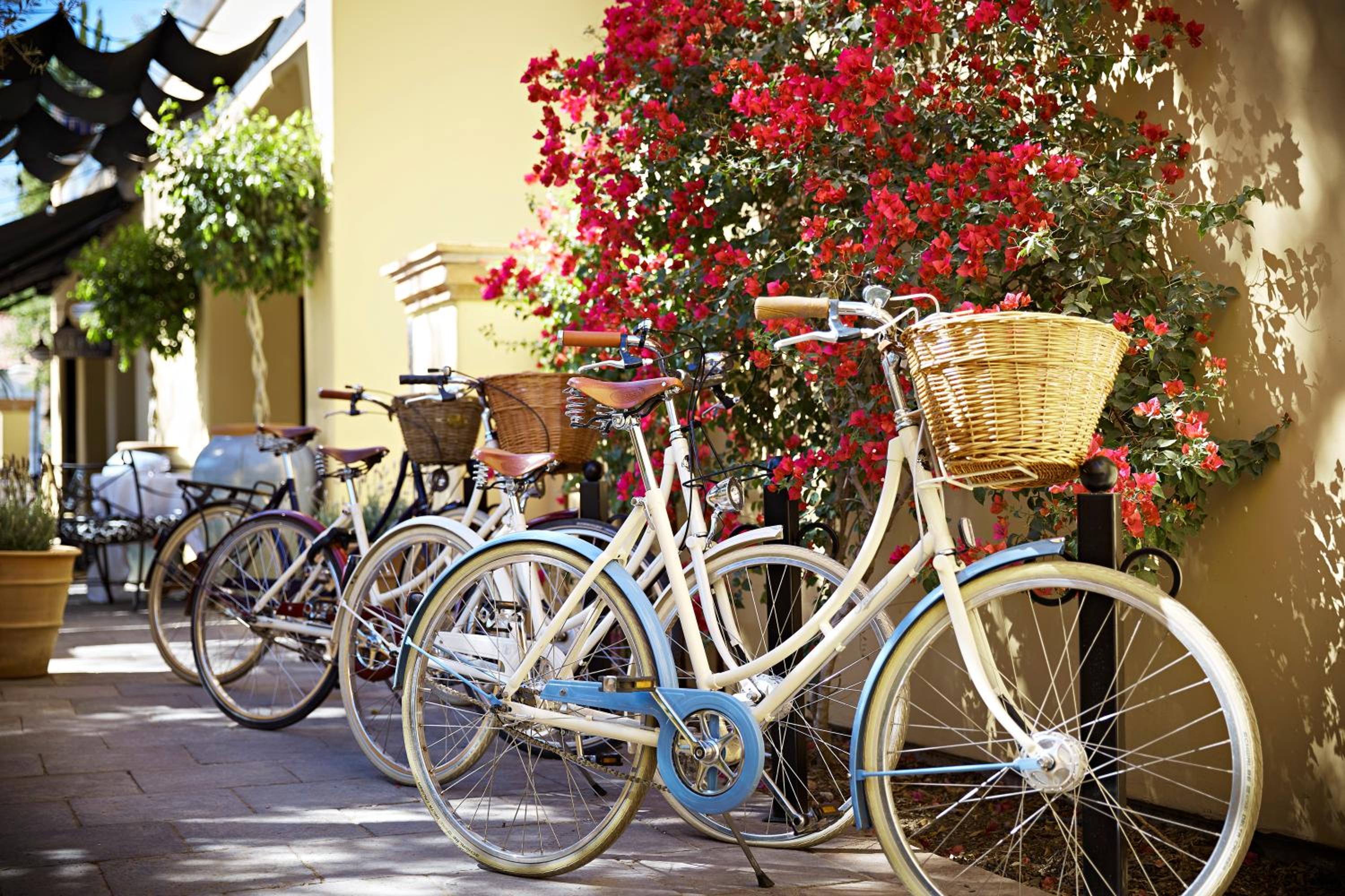 Bespoke Inn Scottsdale