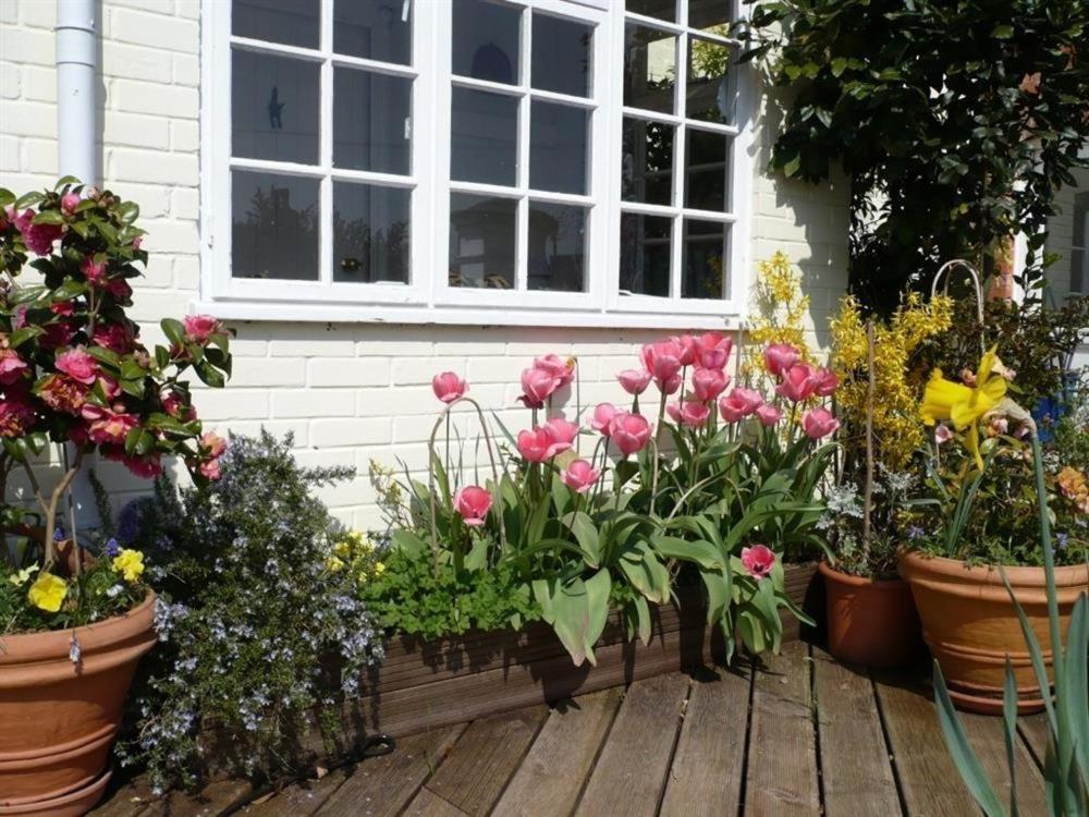 Photo 17