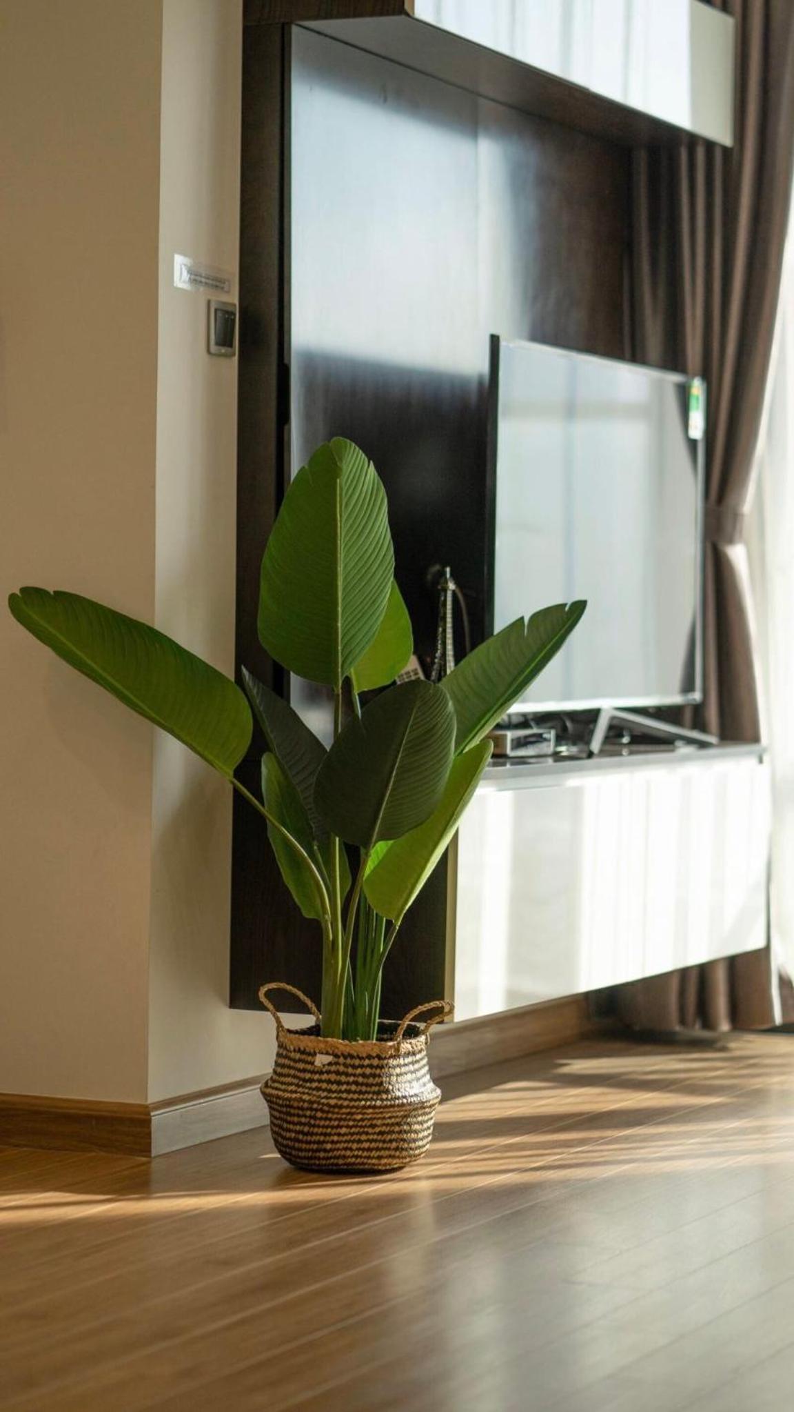 BOM HOMES- VINHOMES METROPOLIS-Service Apartment