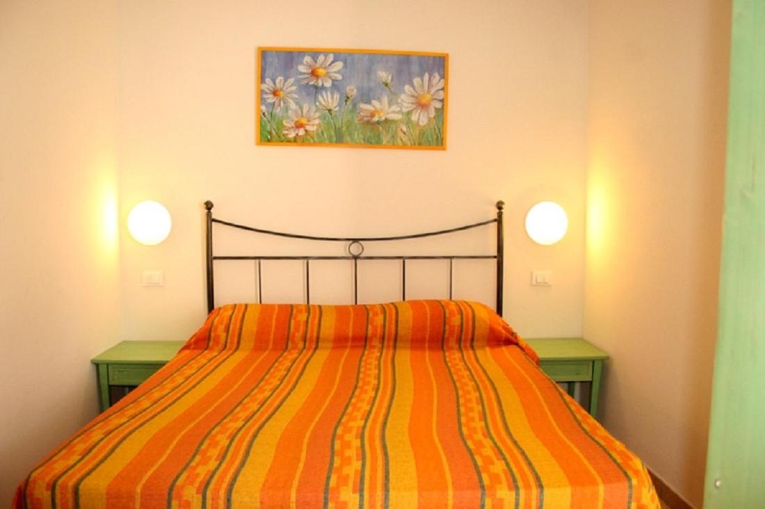 Dorado 8P photo 4