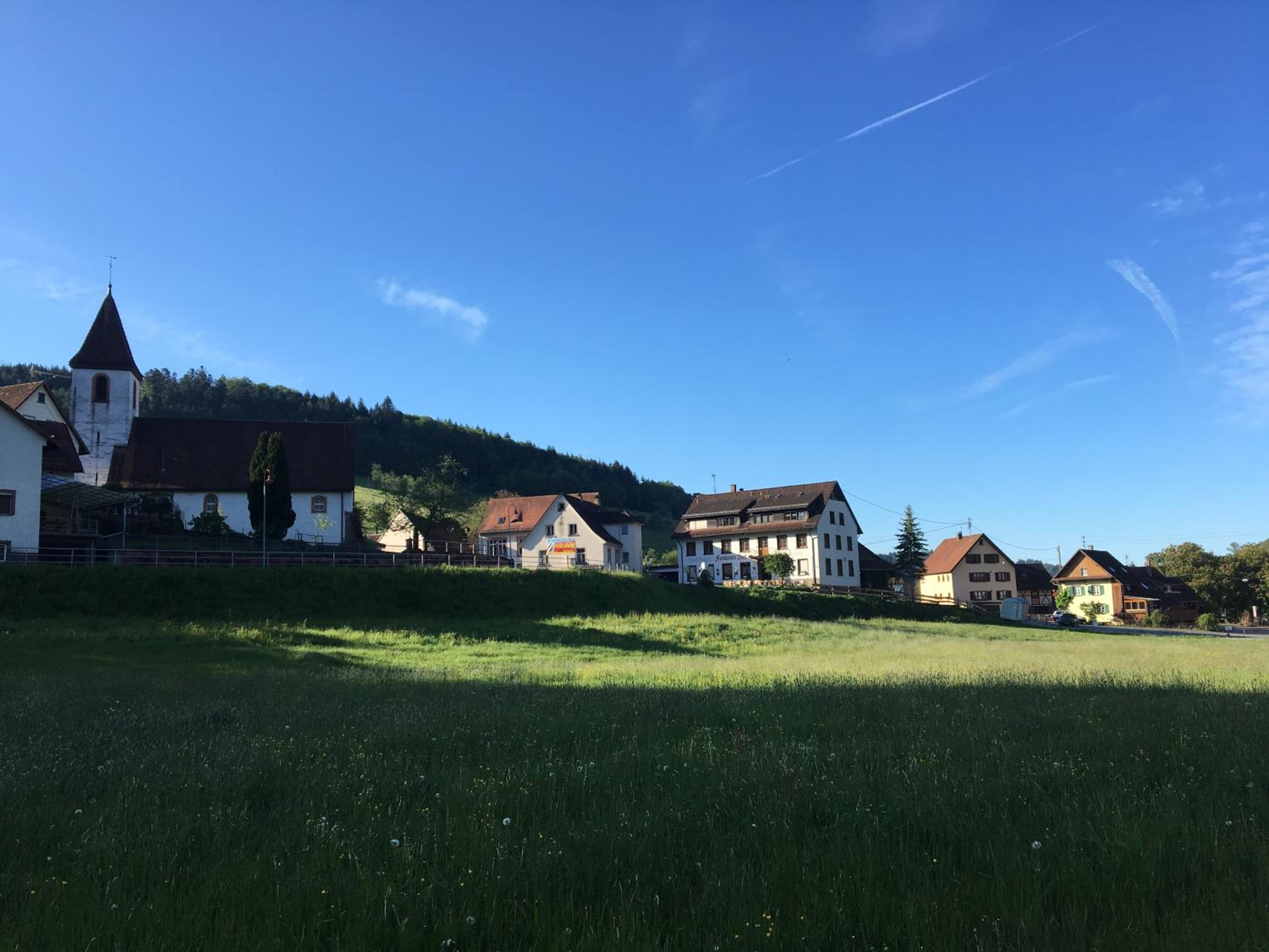 Landgasthof "Freiämter Hof" view 4