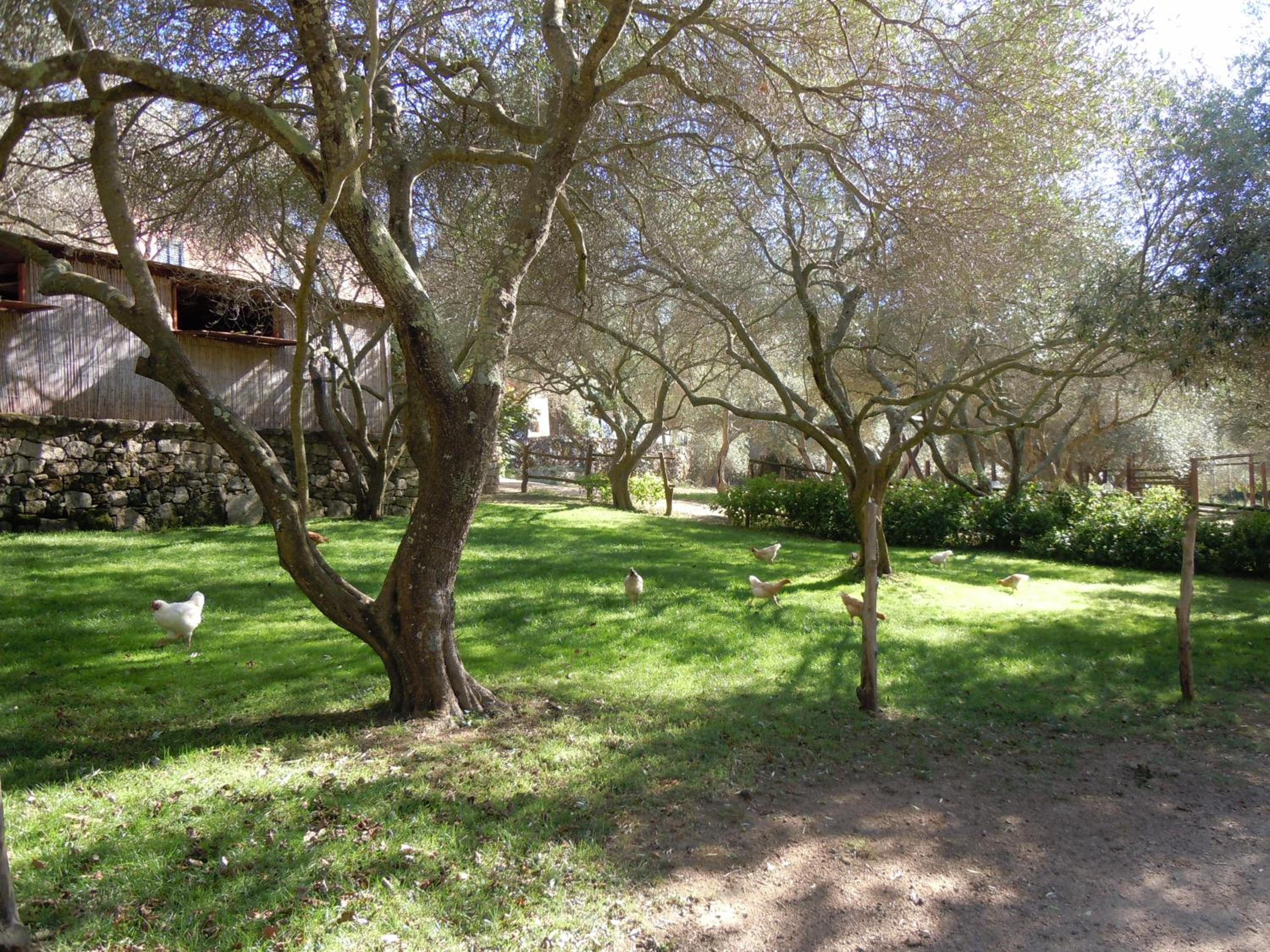 Agriturismo Lu Branu