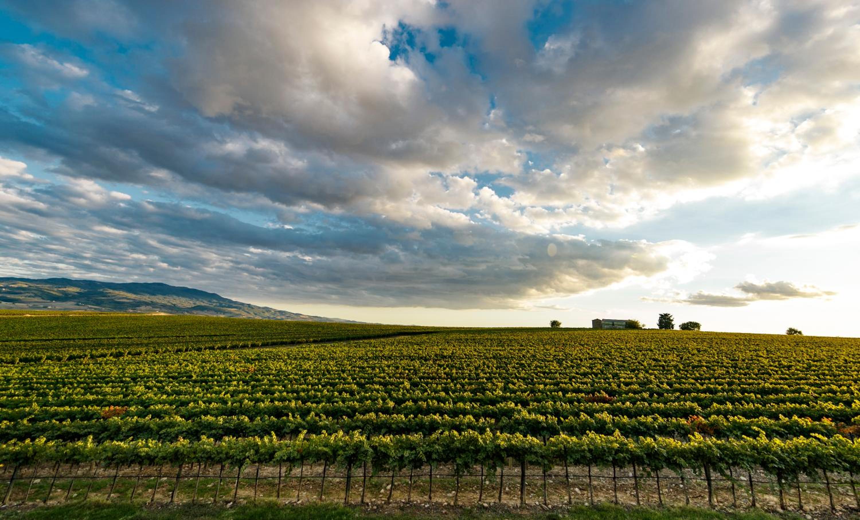 Wine Relais In Montecucco - ColleMassari Hospitality