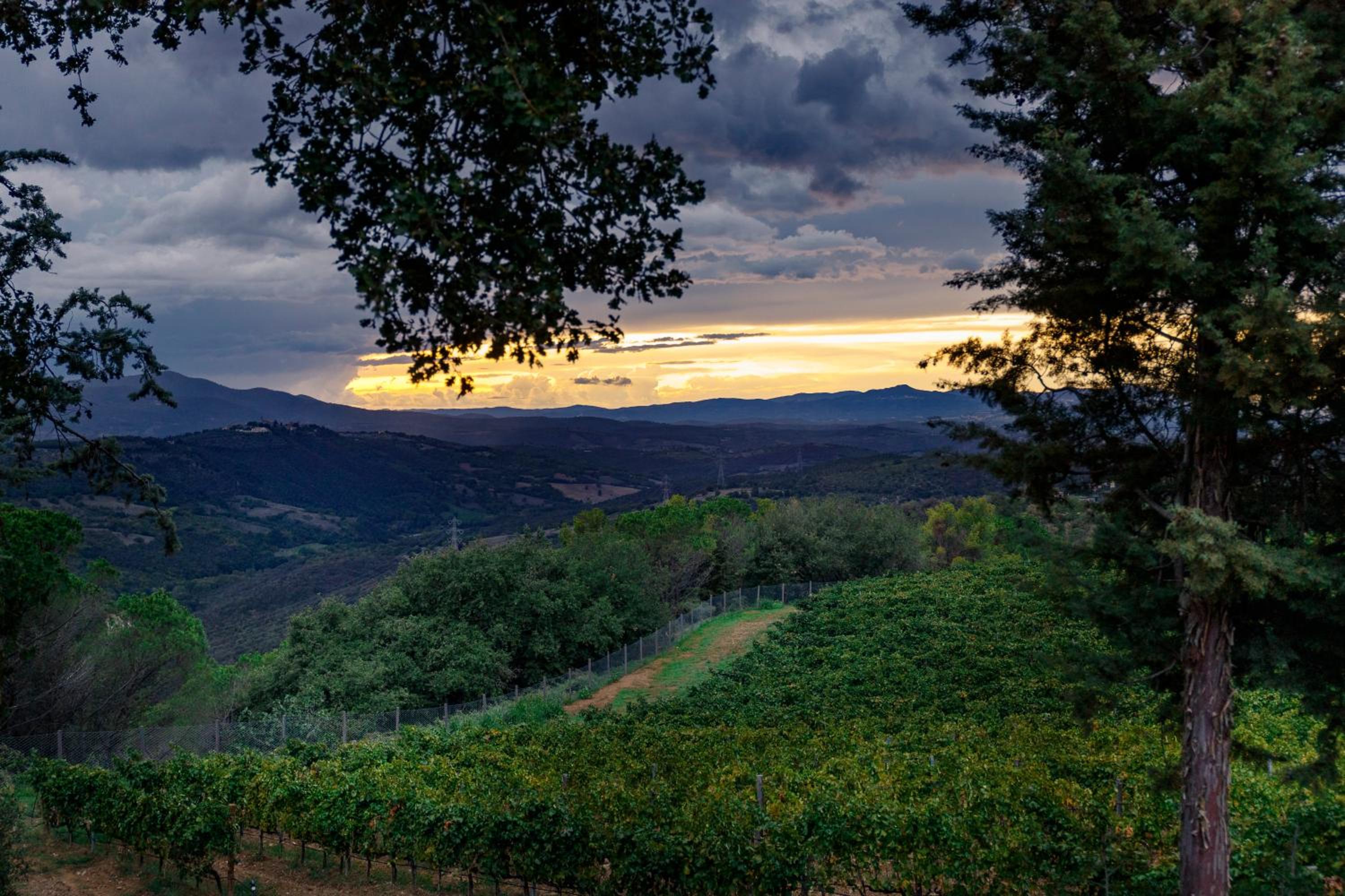 Wine Relais In Montecucco - ColleMassari Hospitality