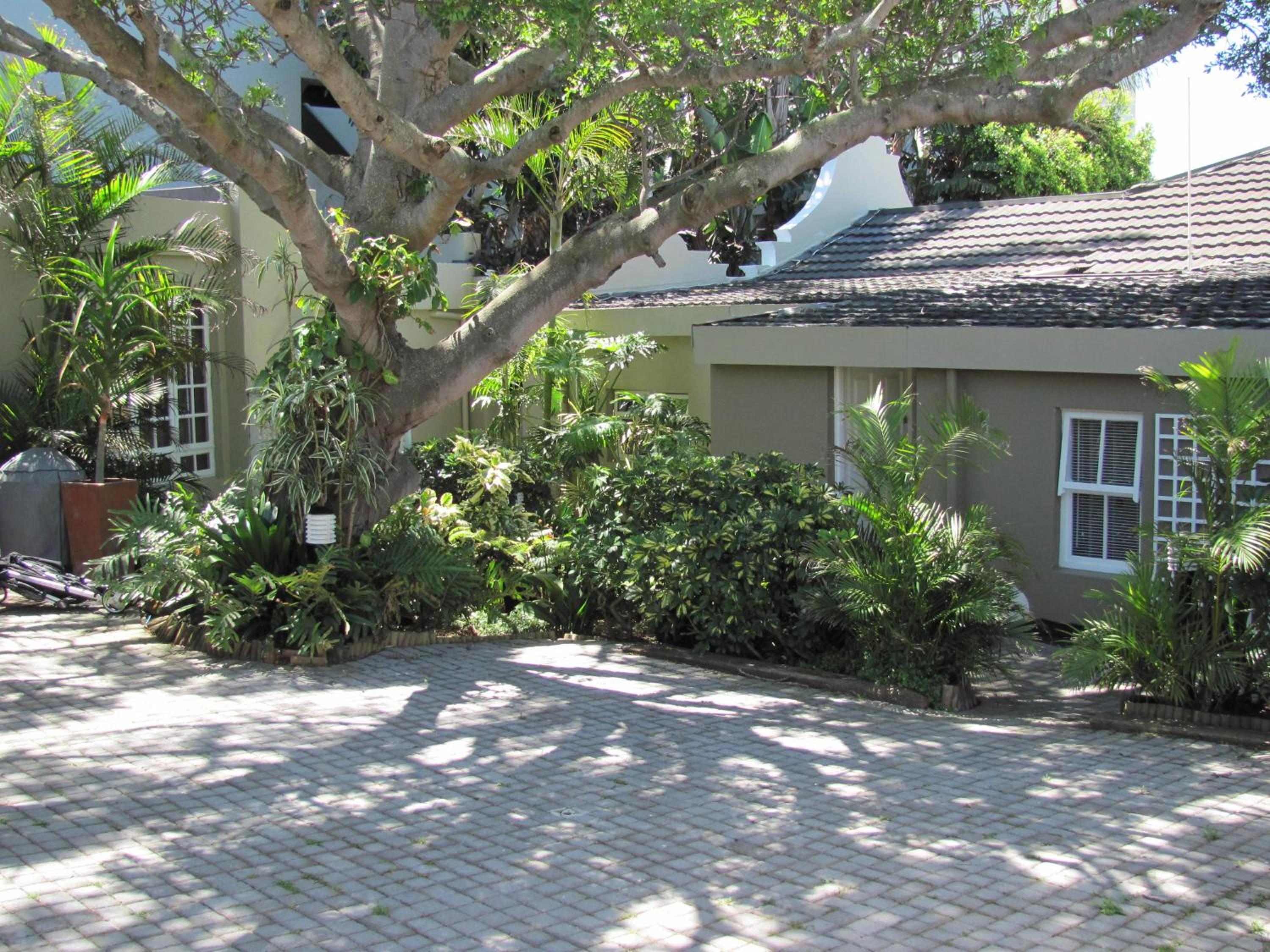 Conifer Beach House