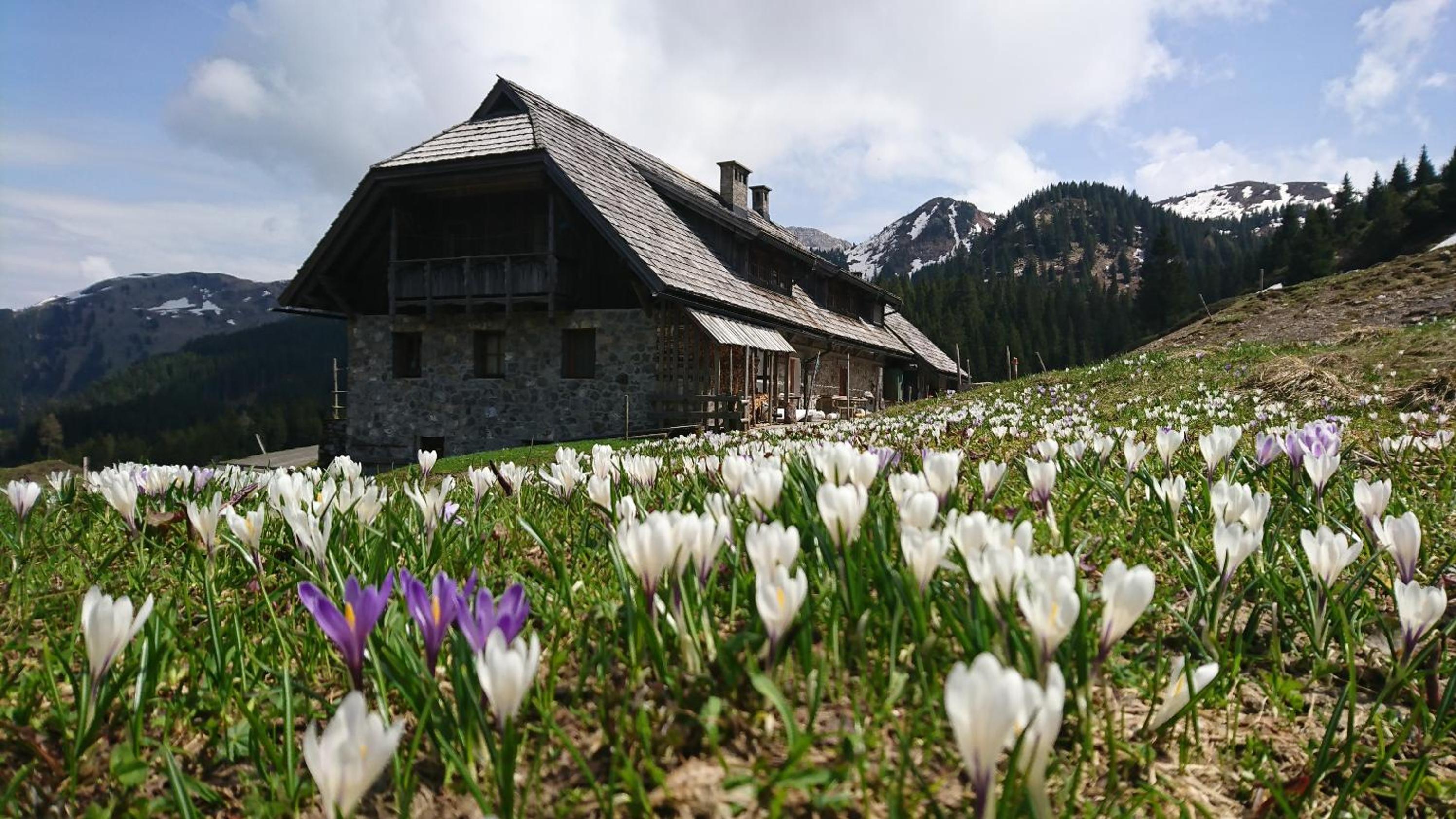 Straniger Alm