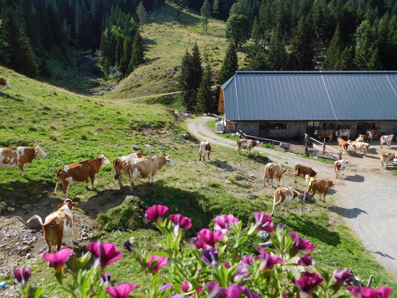 Straniger Alm