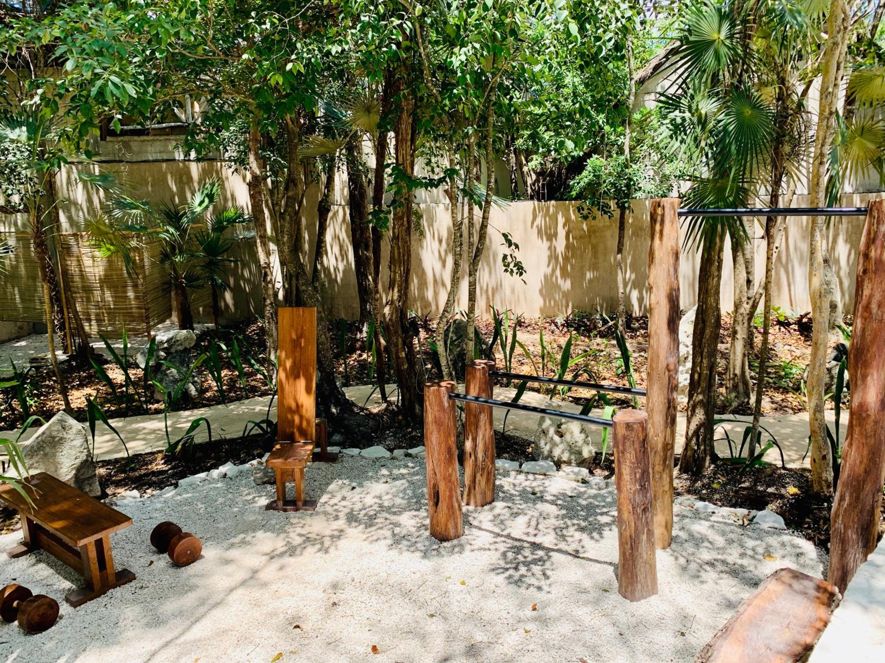 Bufo Alvarius - Property Image 75