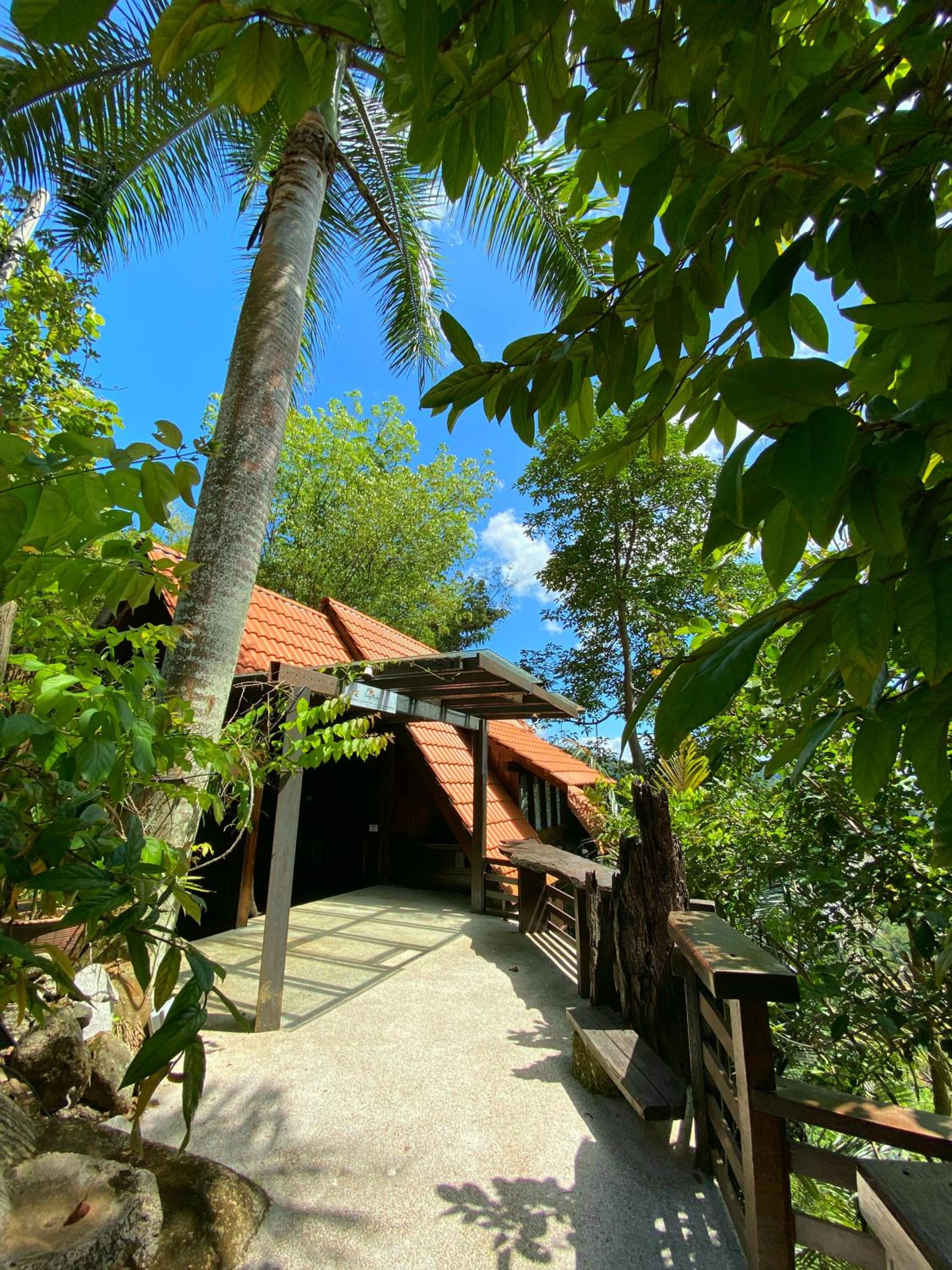 Langit Rimba Resort photo 4