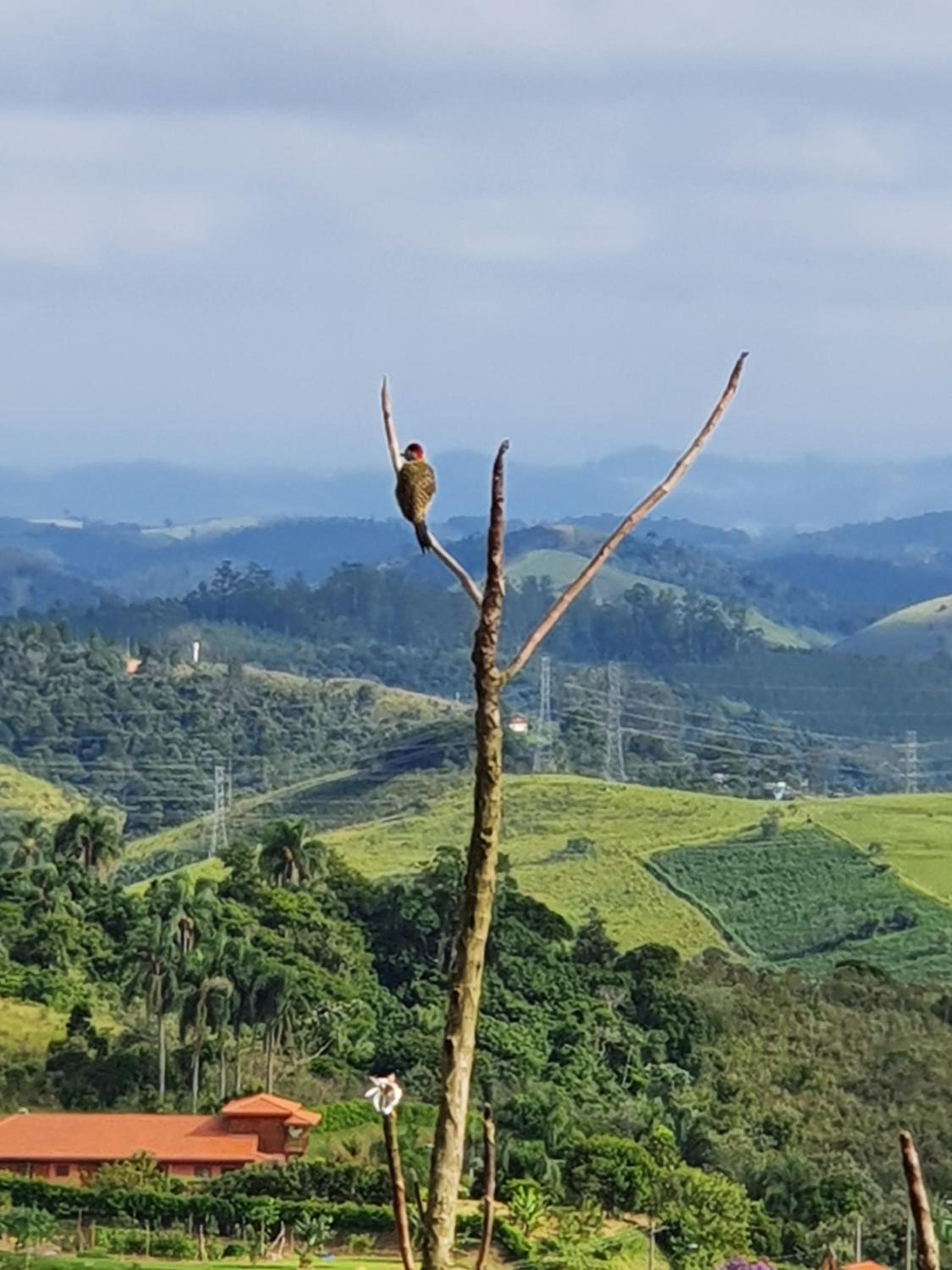 Sitio Aconchego Verde Guararema