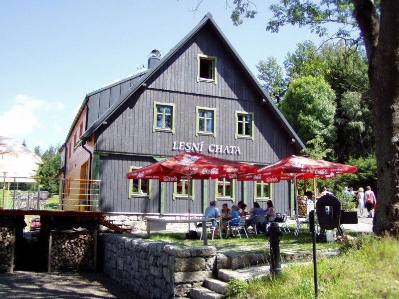 Lesní Chata