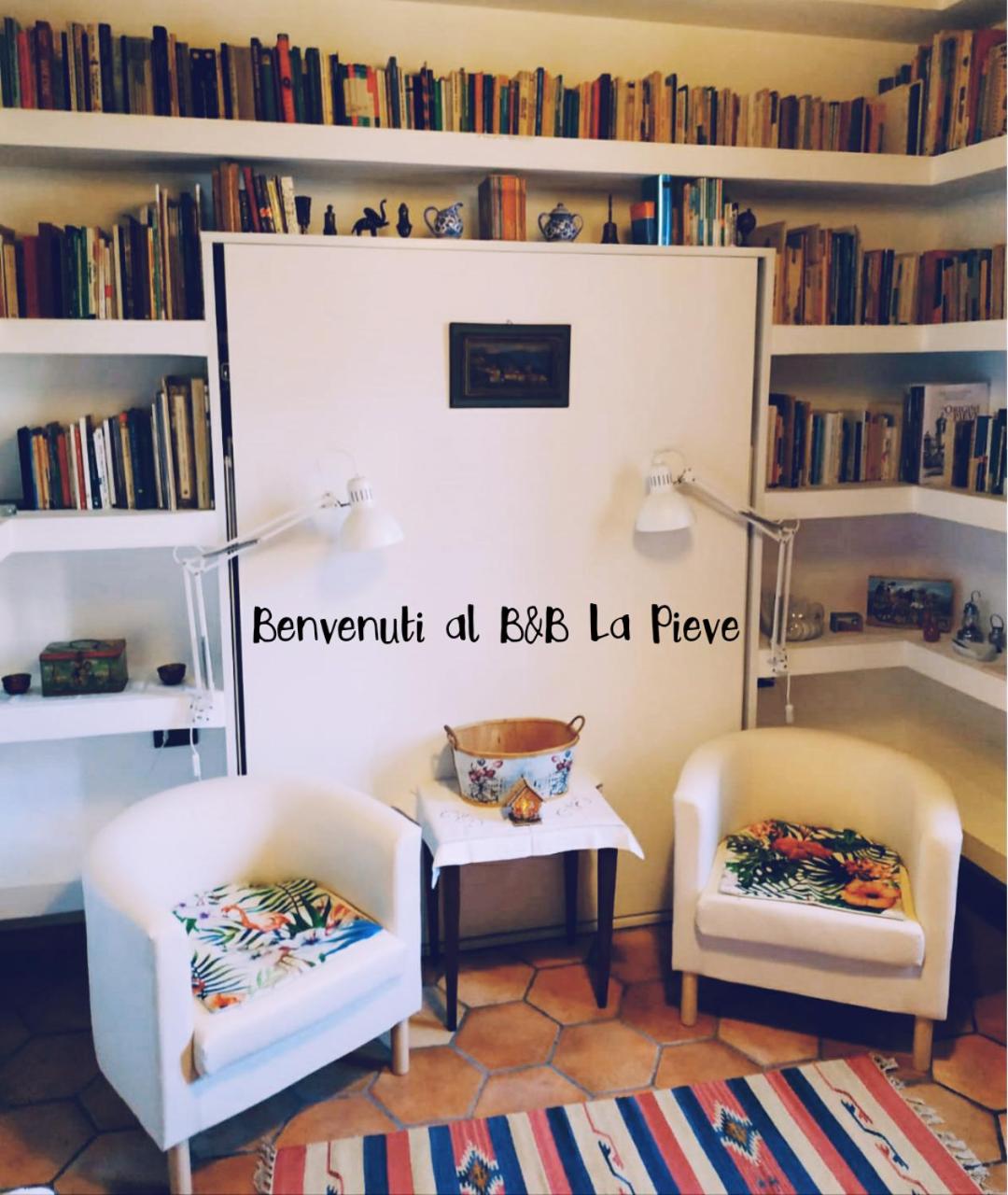 B&B 