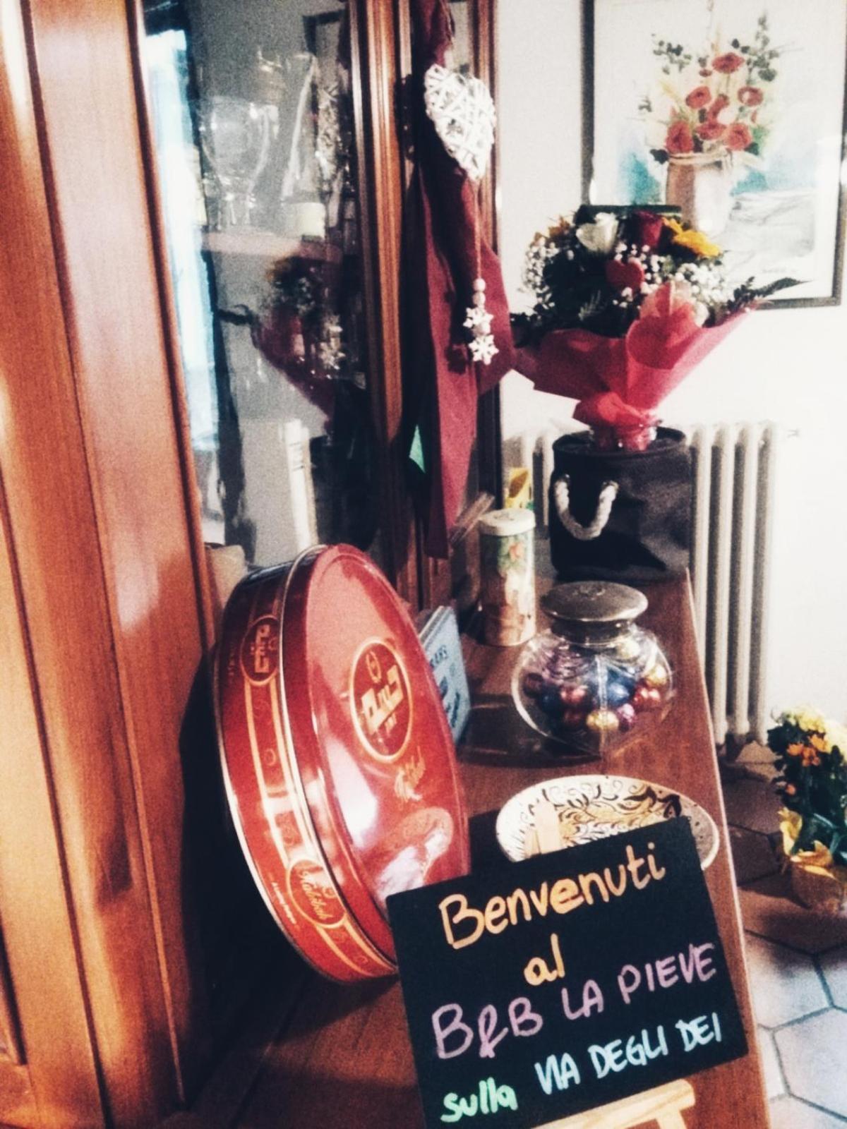 B&B 