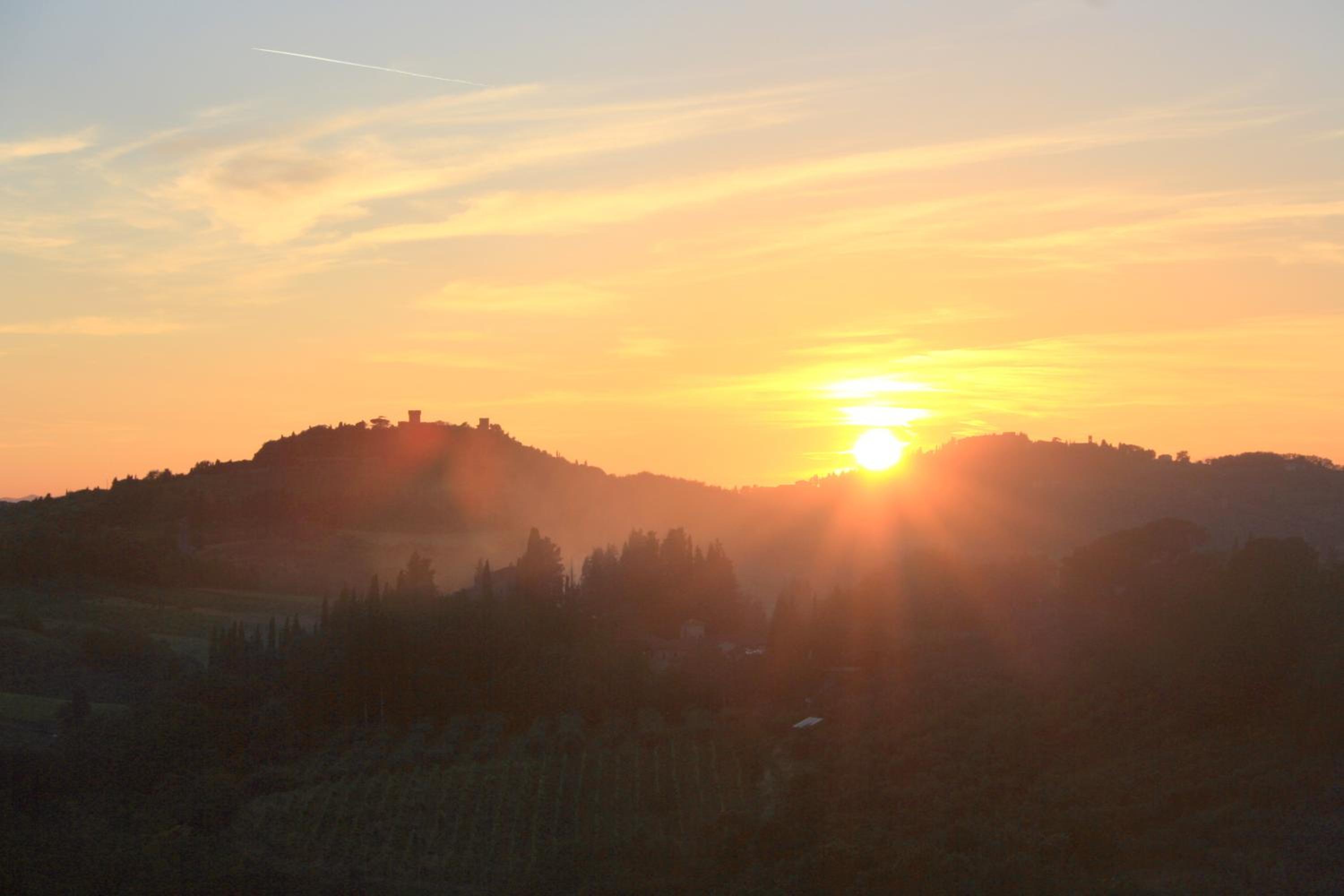 Poderi in Chianti