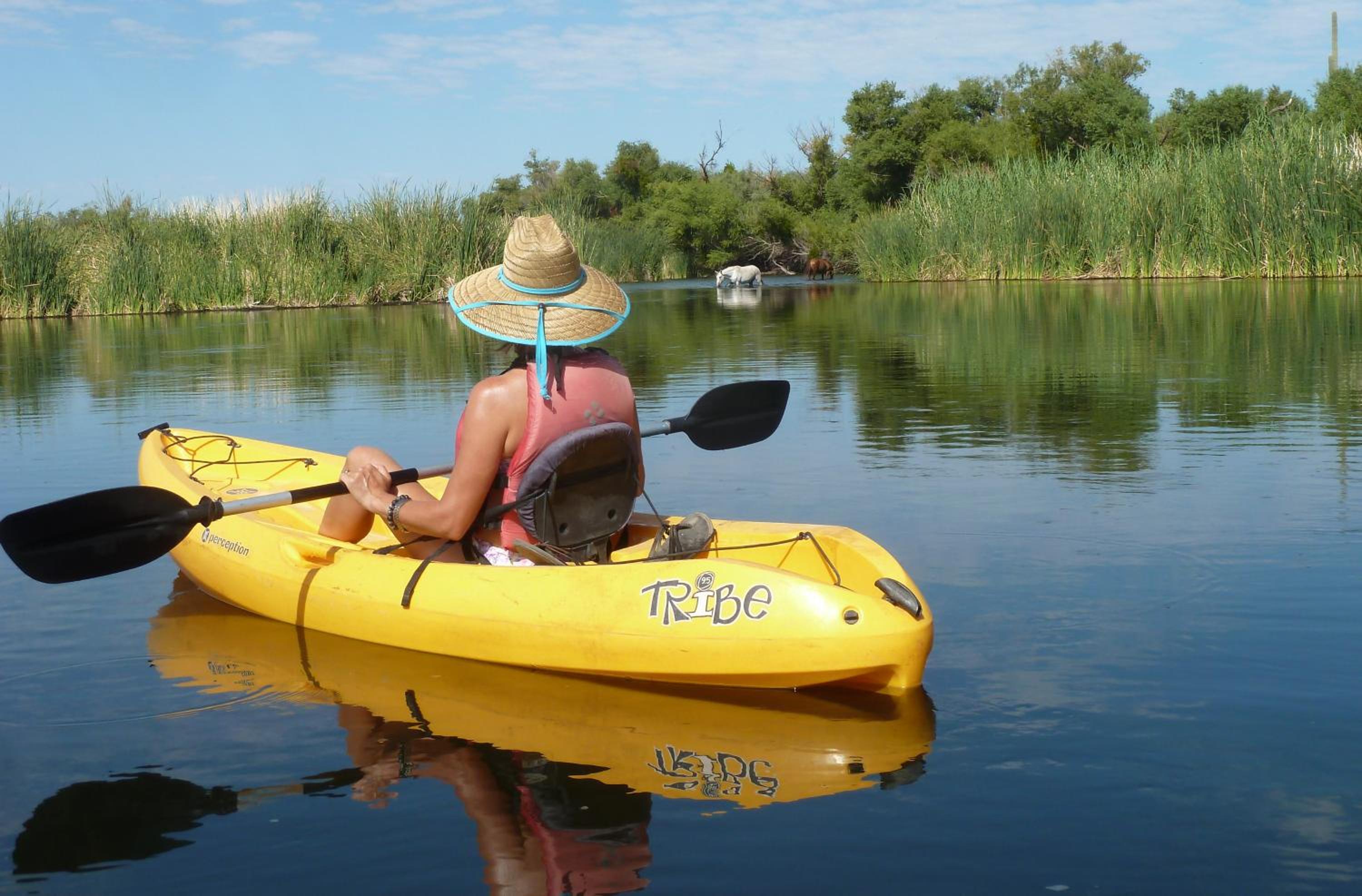 Saguaro Lake Ranch