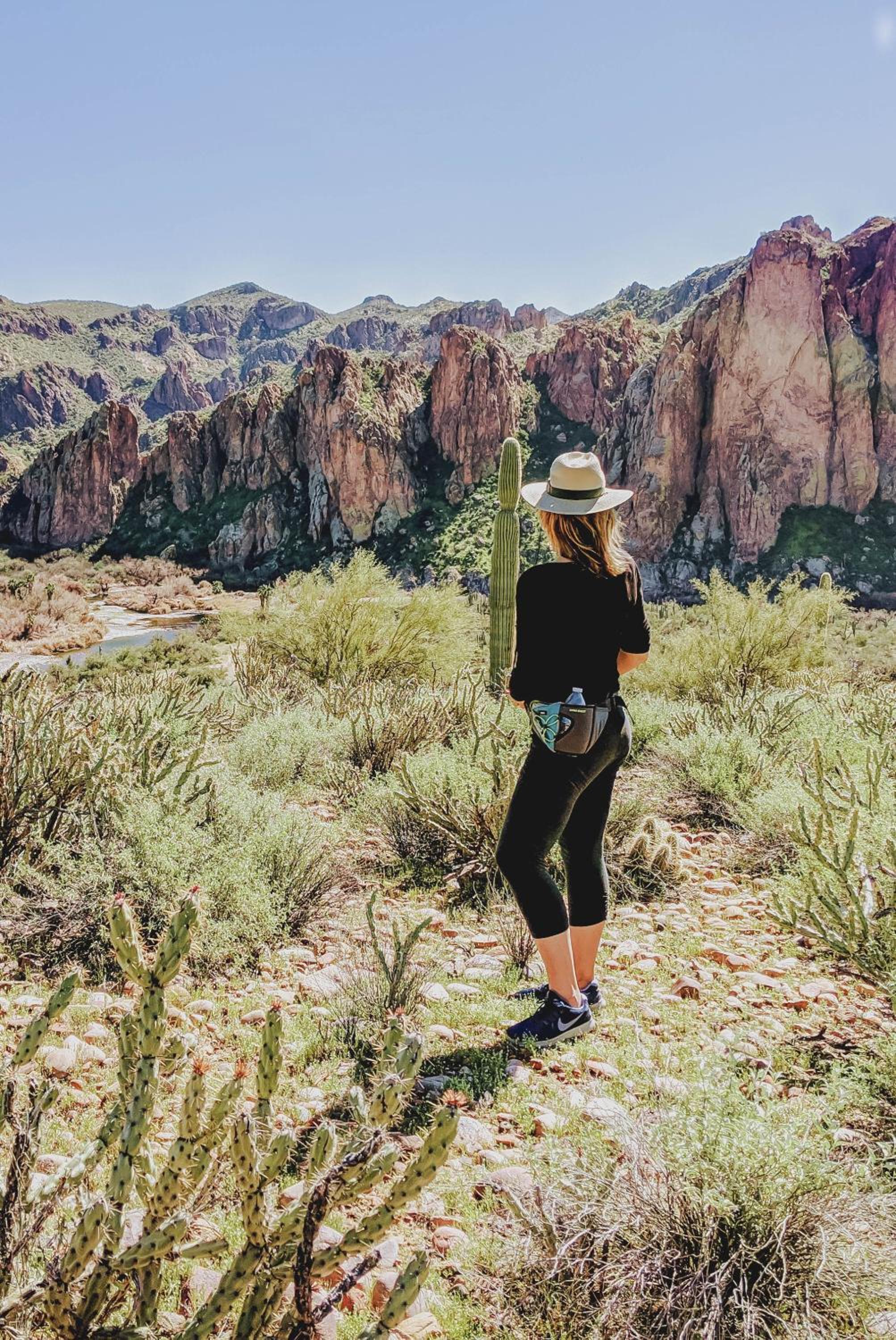 Saguaro Lake Ranch