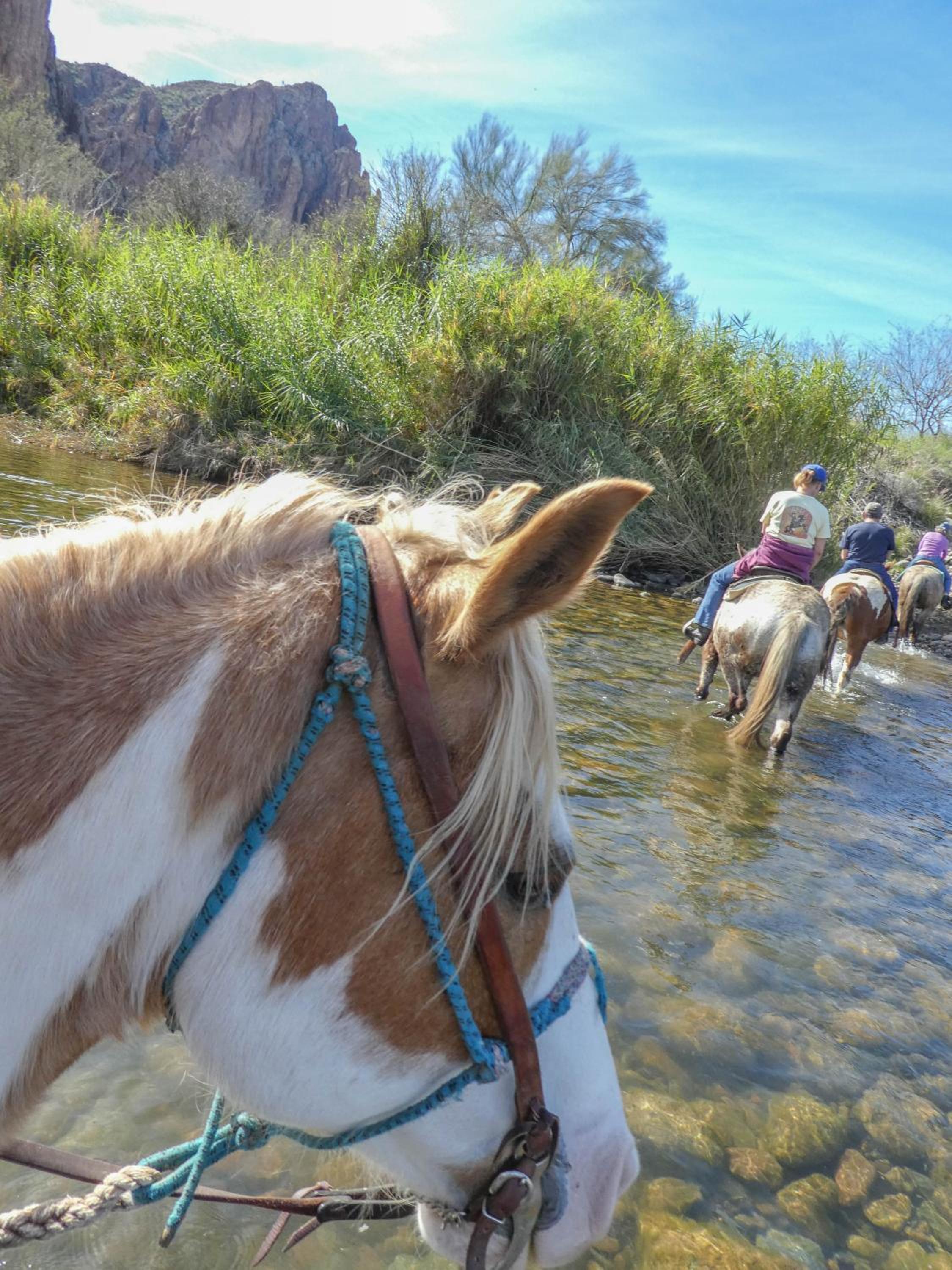 Saguaro Lake Ranch