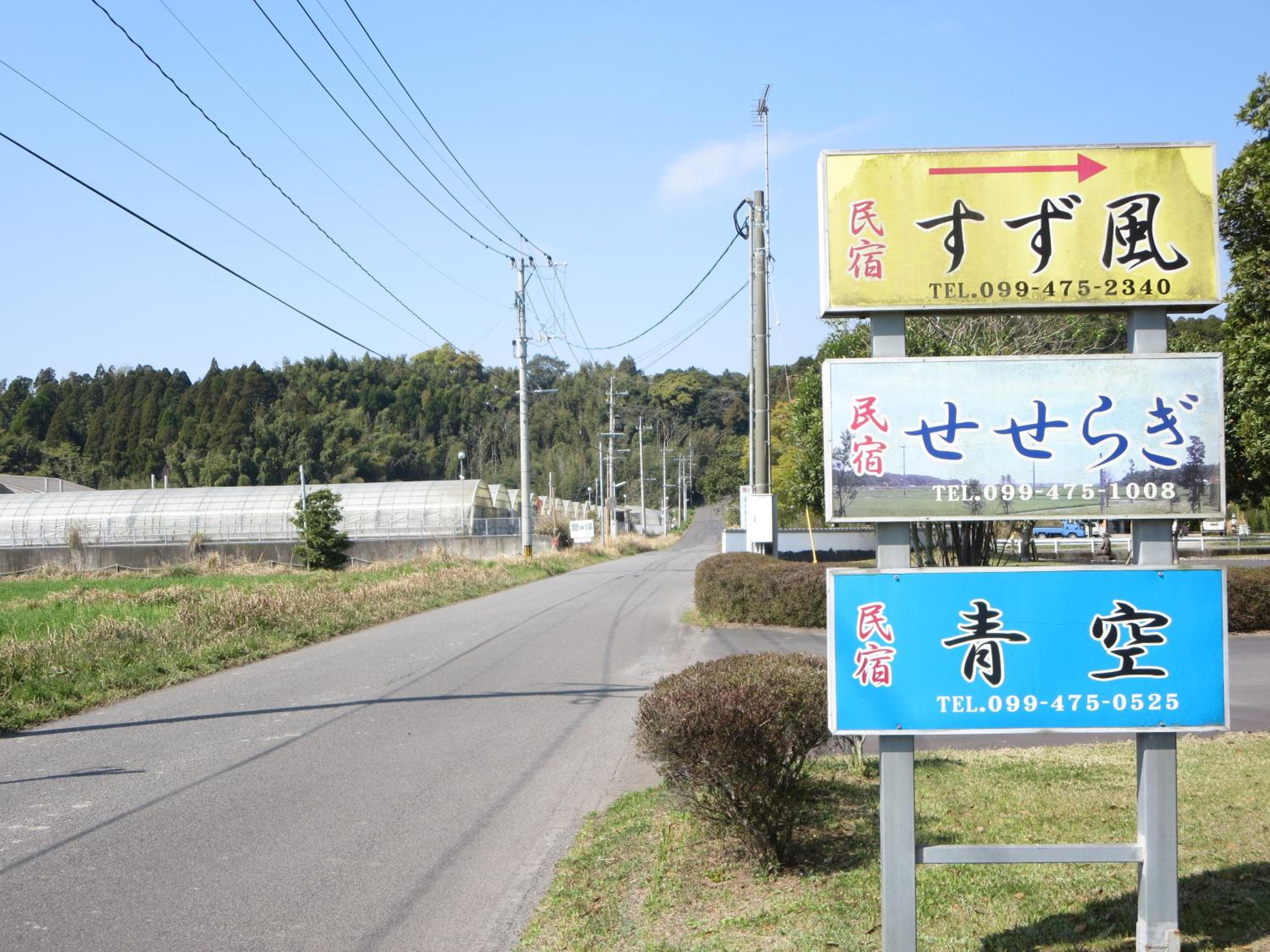Photo 45