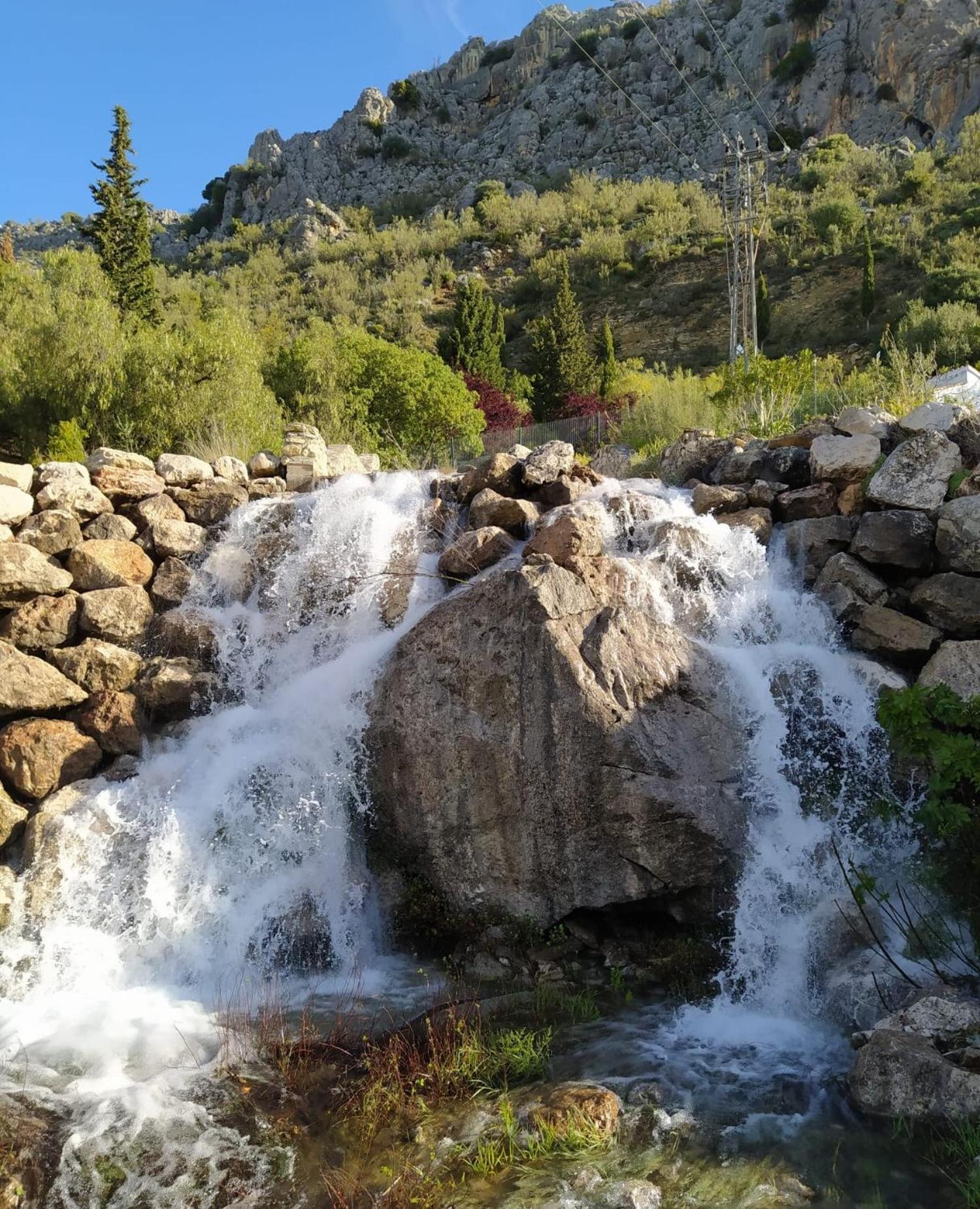 Photo 36