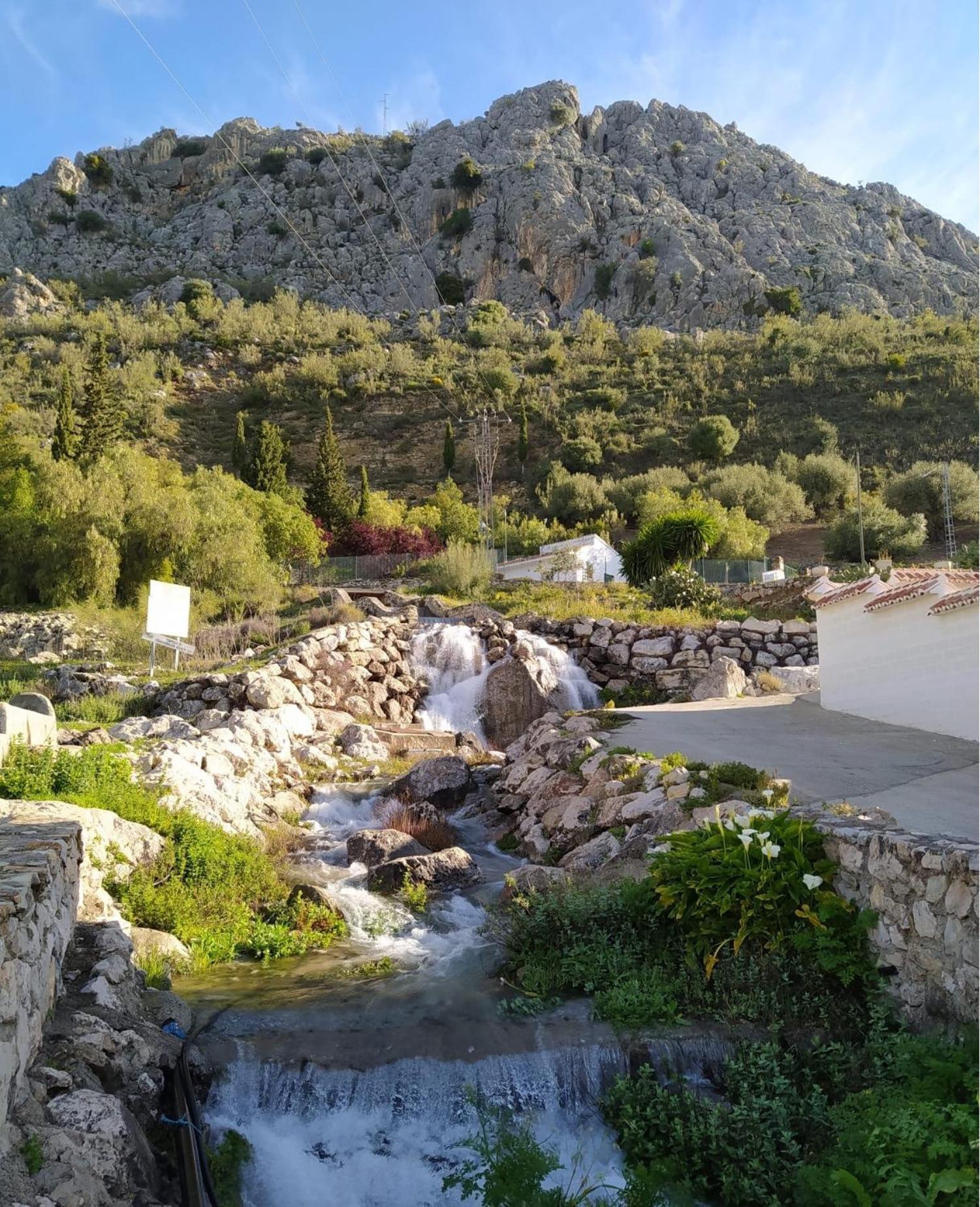 Photo 35