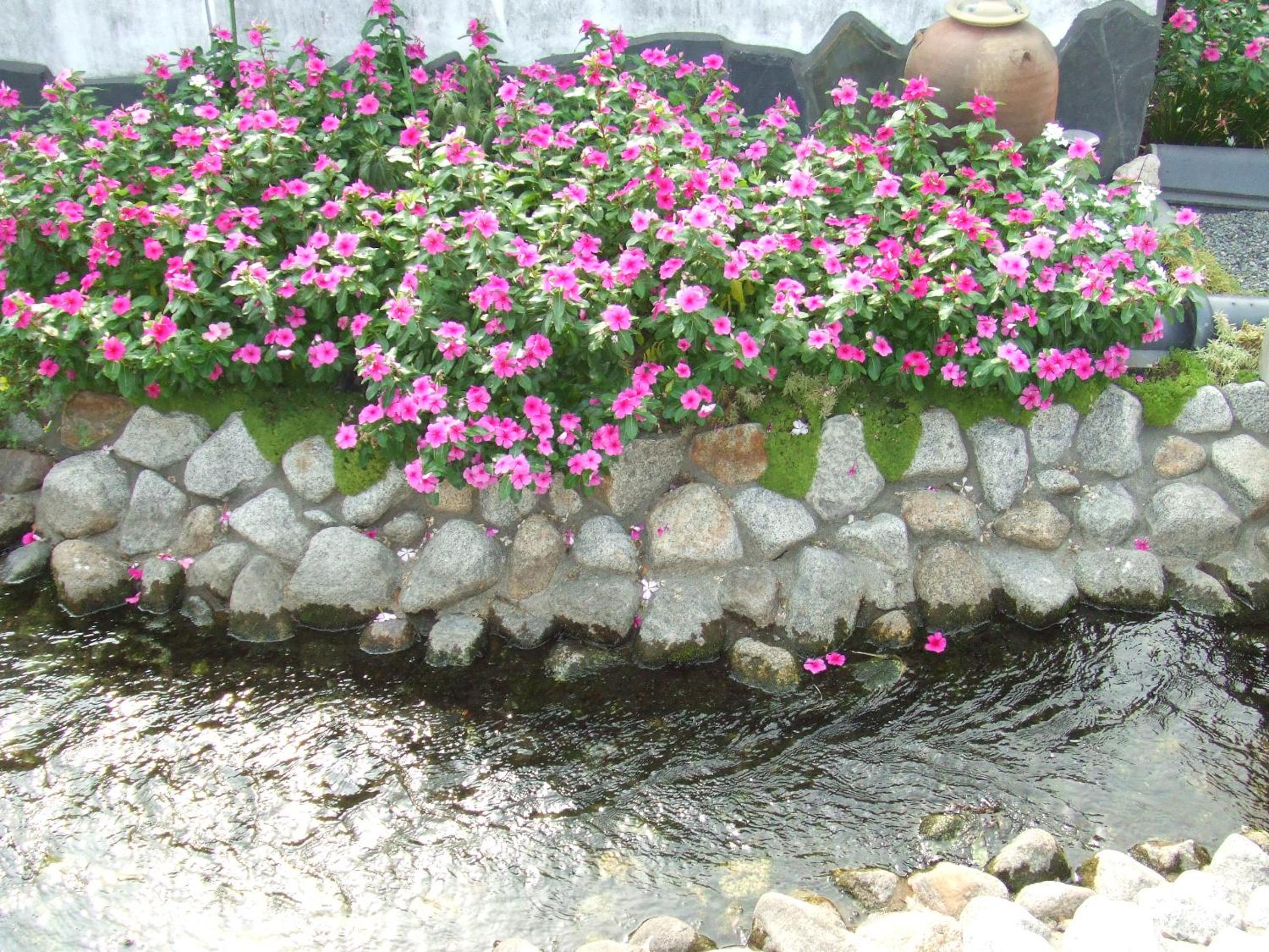 Photo 35