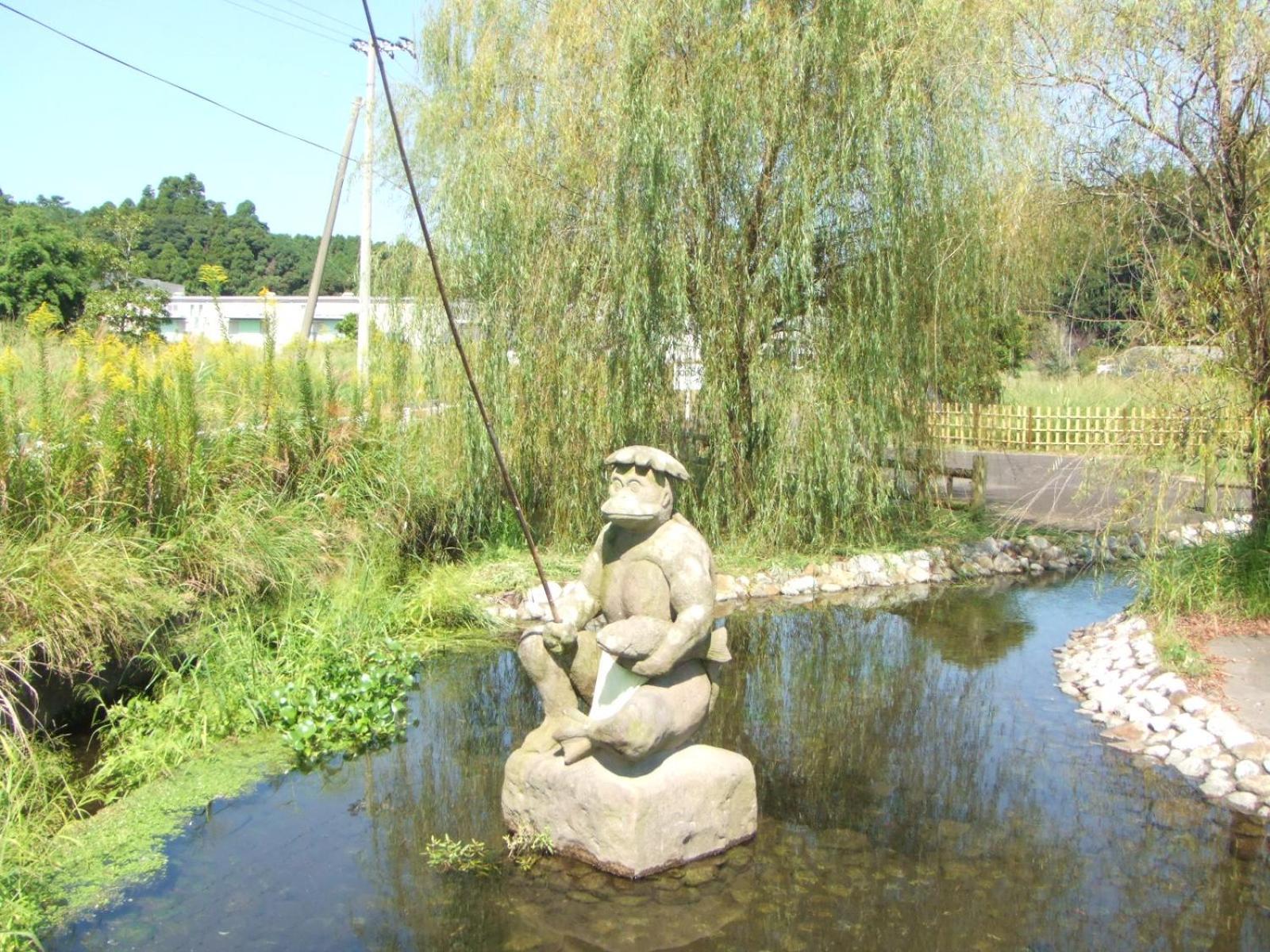 Photo 43