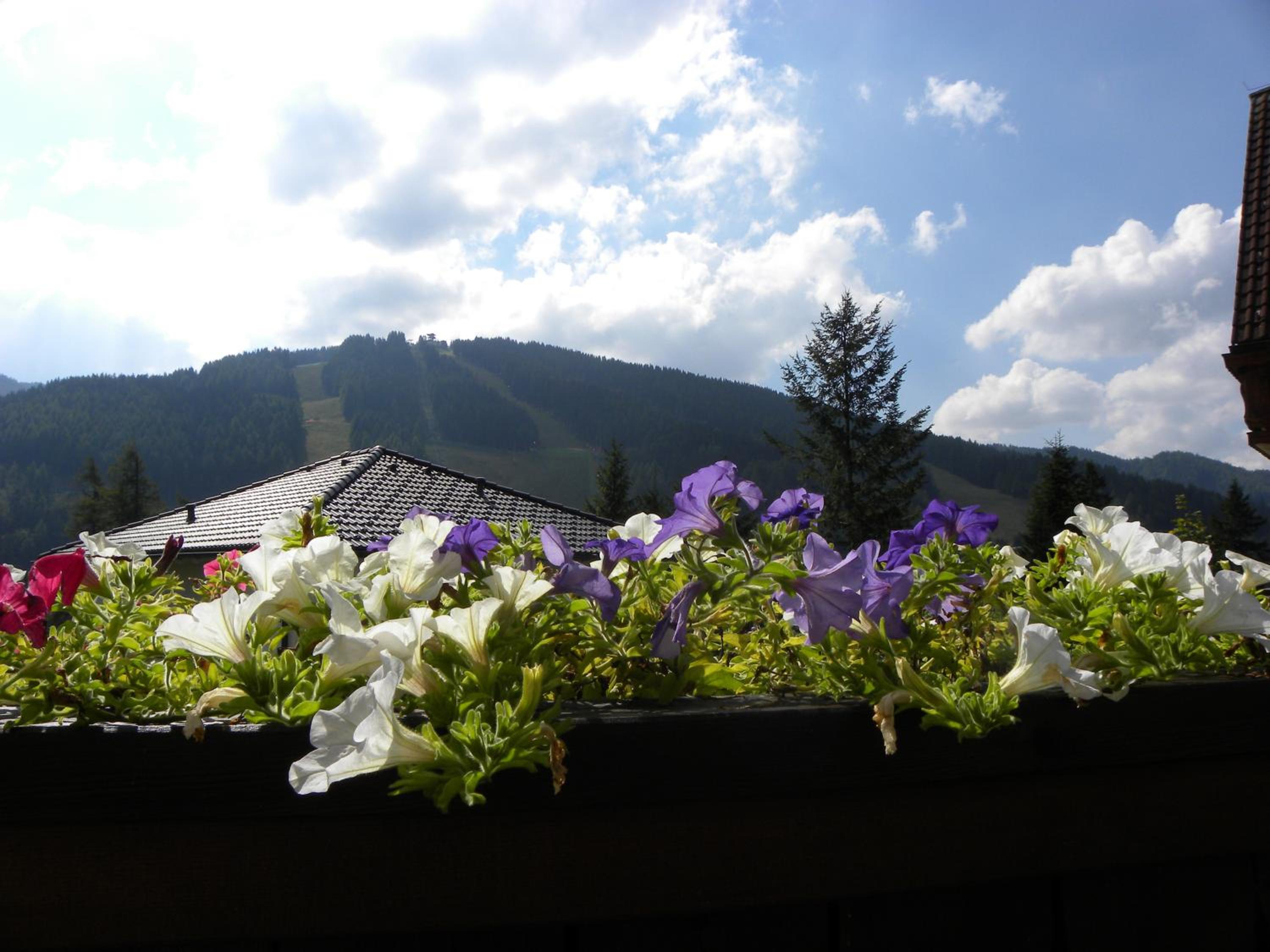 Landhaus Semmering