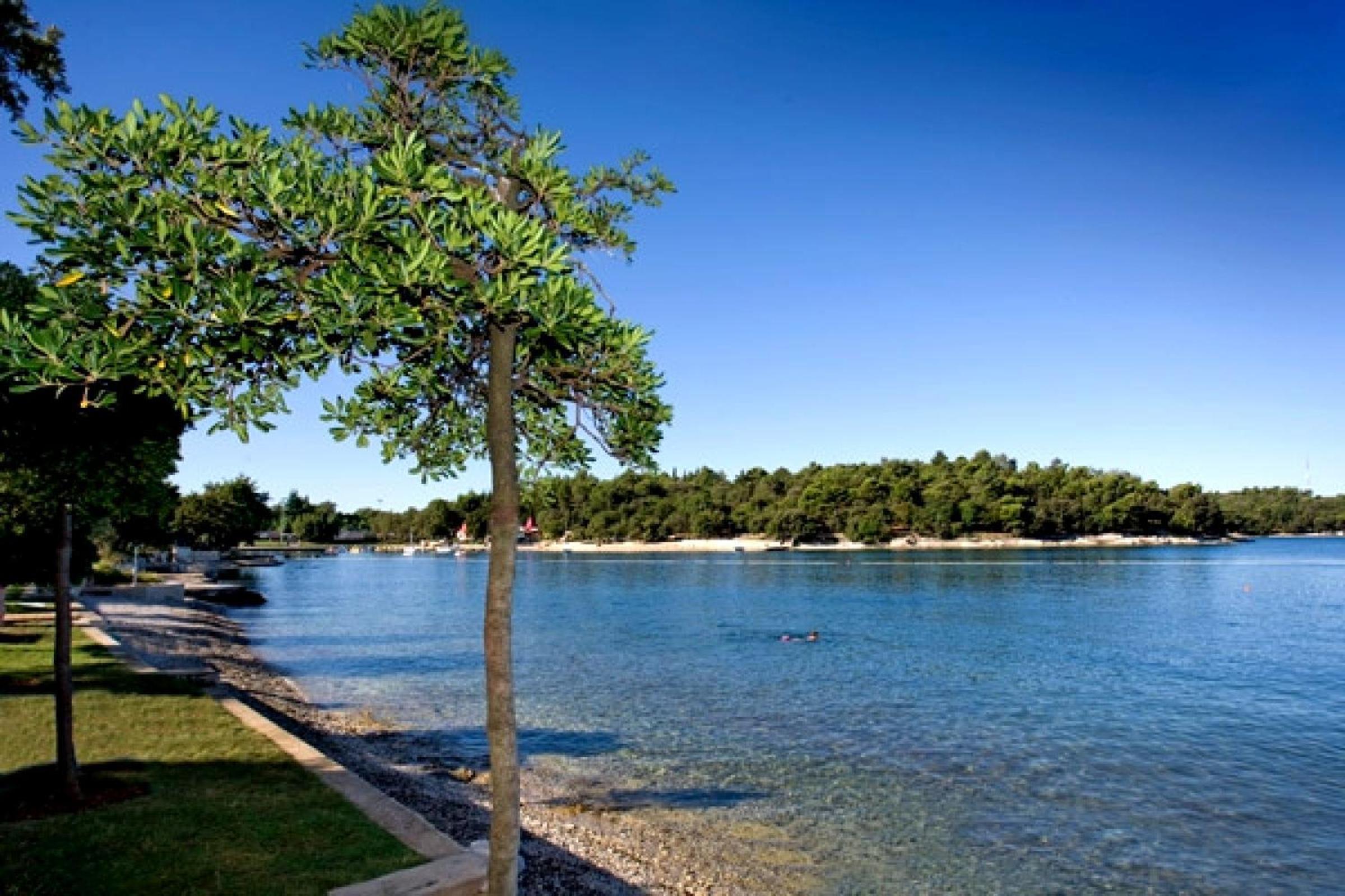 Hotel Zorna Plava Laguna - Property Image 42