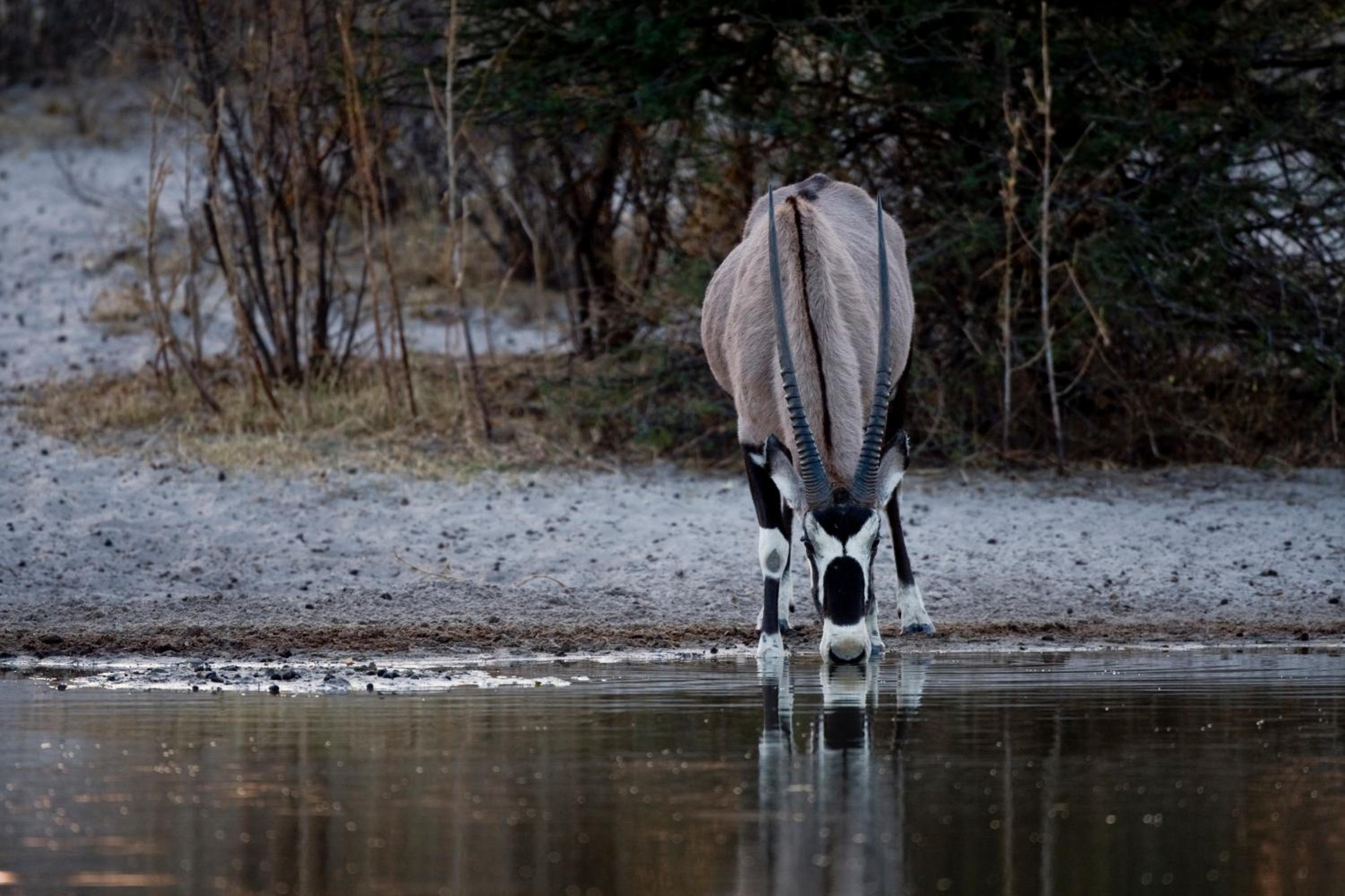 Grassland Safari Lodge