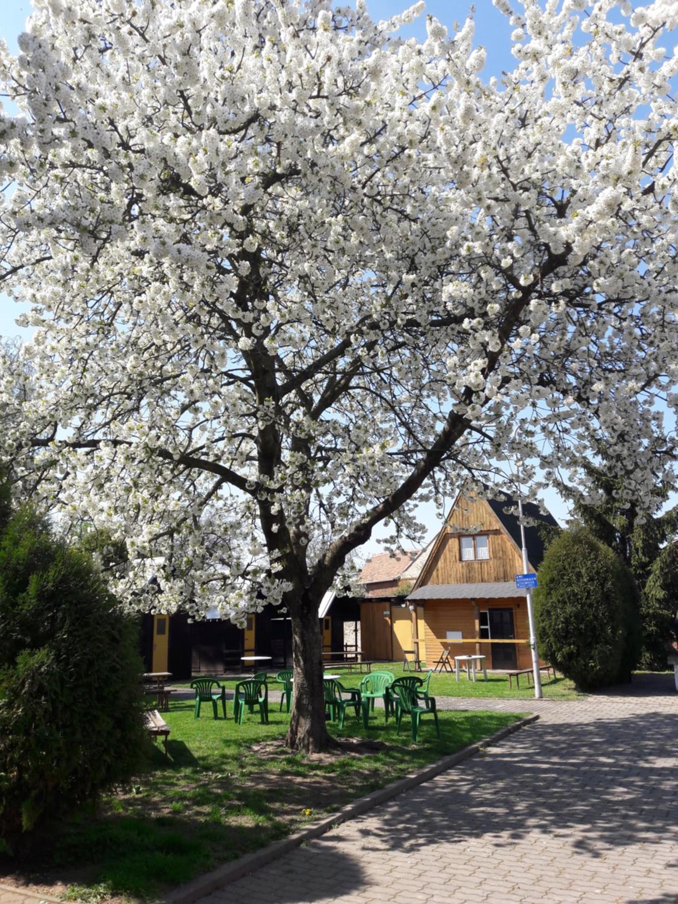 Penzion a Chatový Camp Havraníky u NP Podyjí